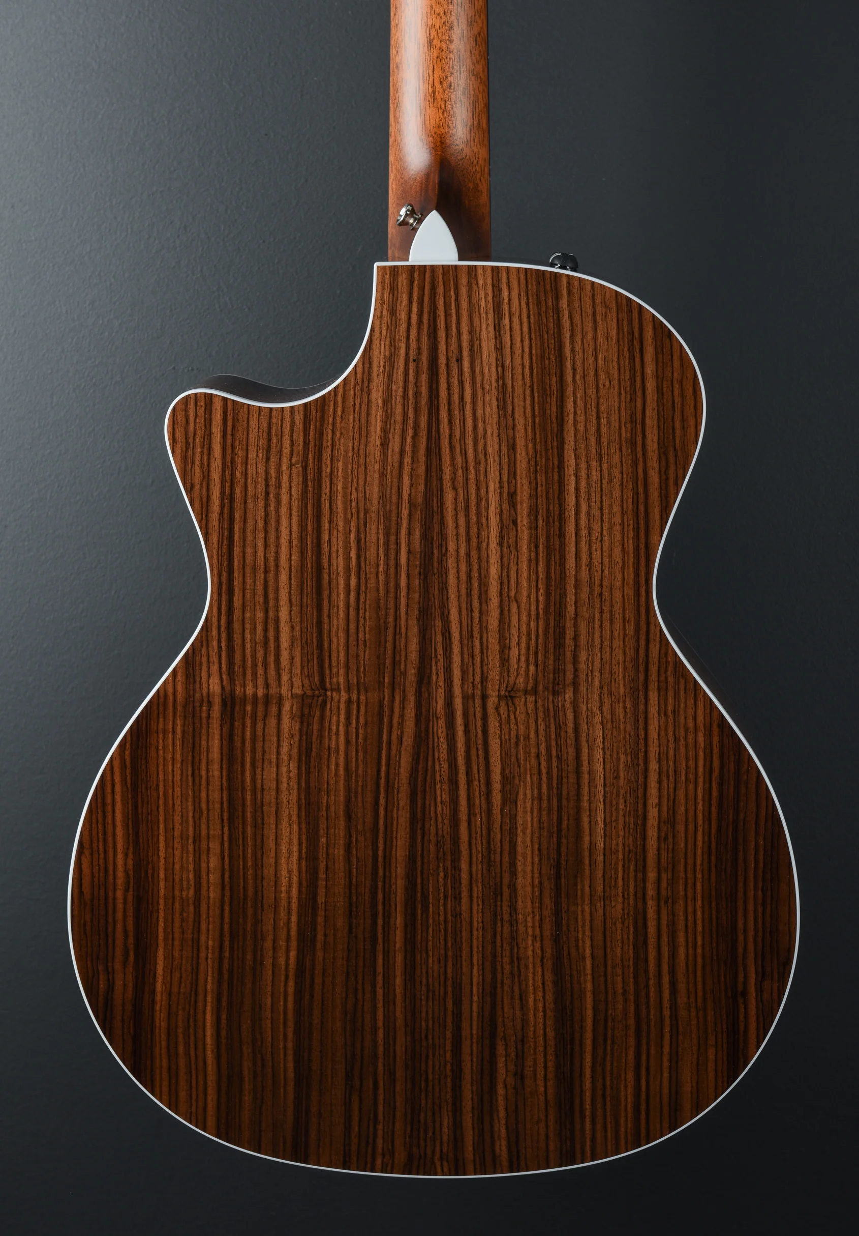 2025 454CE 12 String - Image 5
