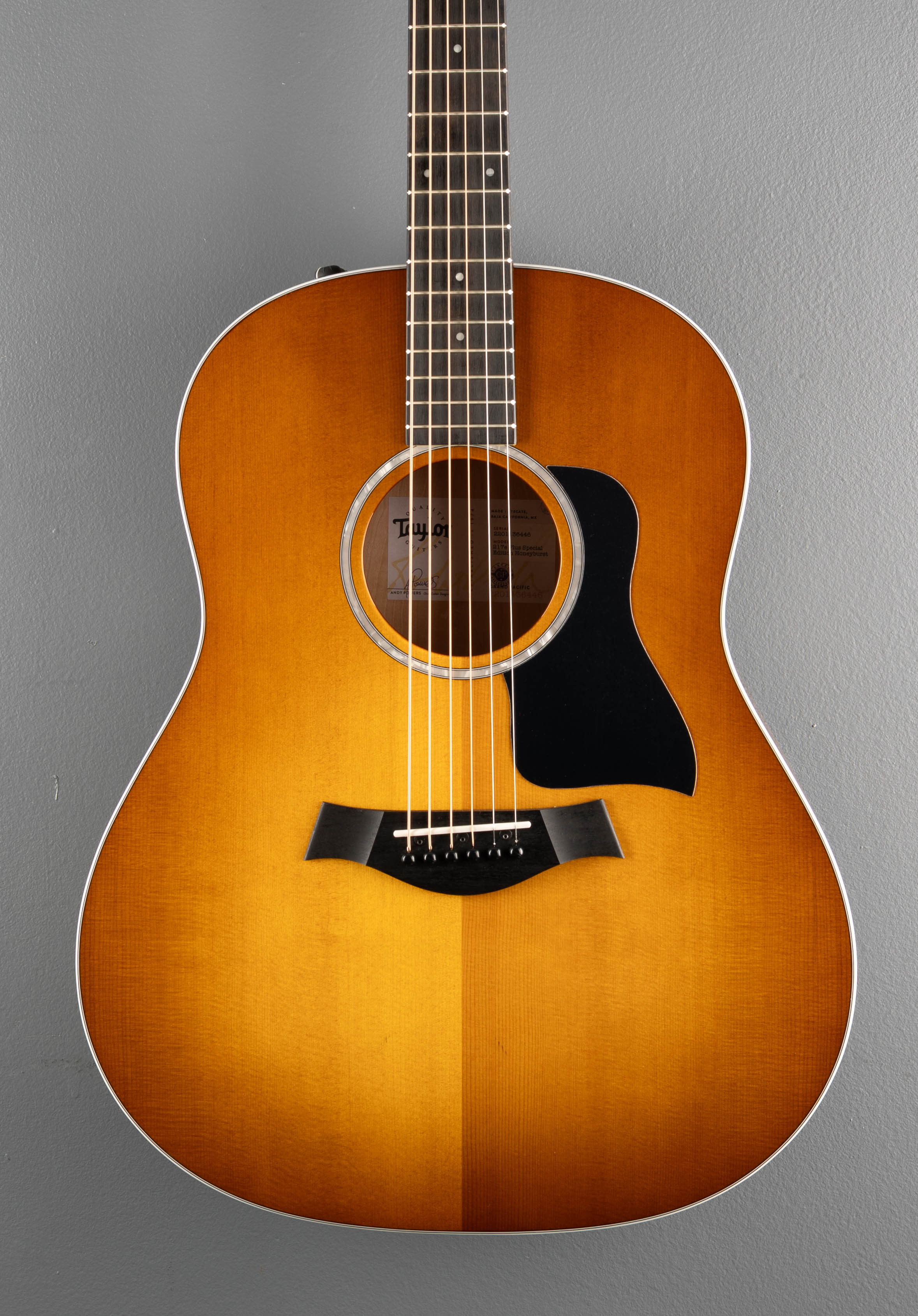 USED 217e Plus Special Edition, '26 - Image 2