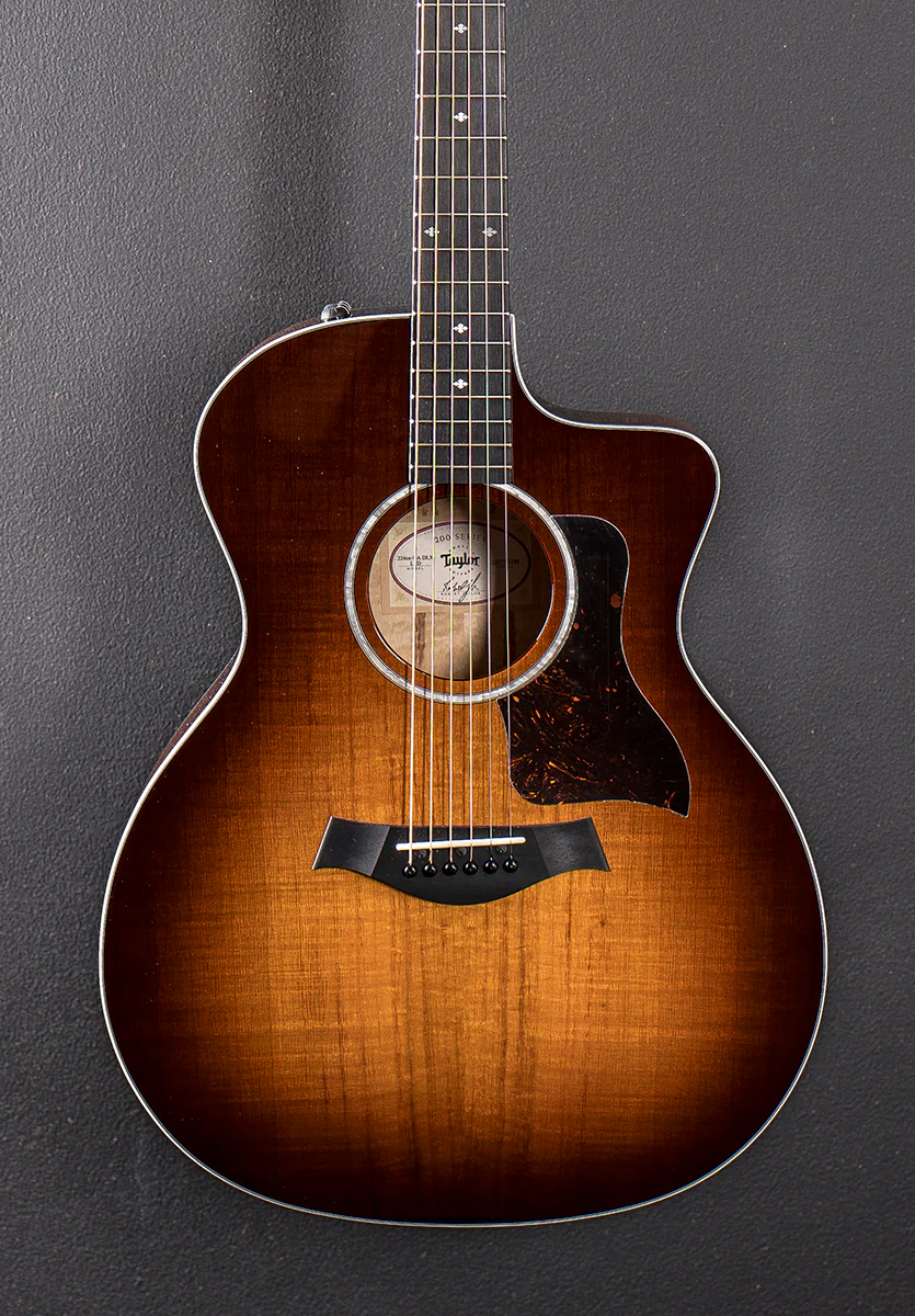 USED 224CE-UA DLX Limited '22 - Image 2