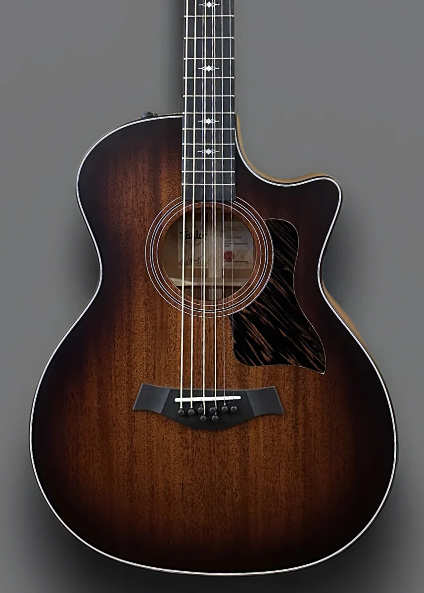 324ce Baritone-8 LTD - Image 2