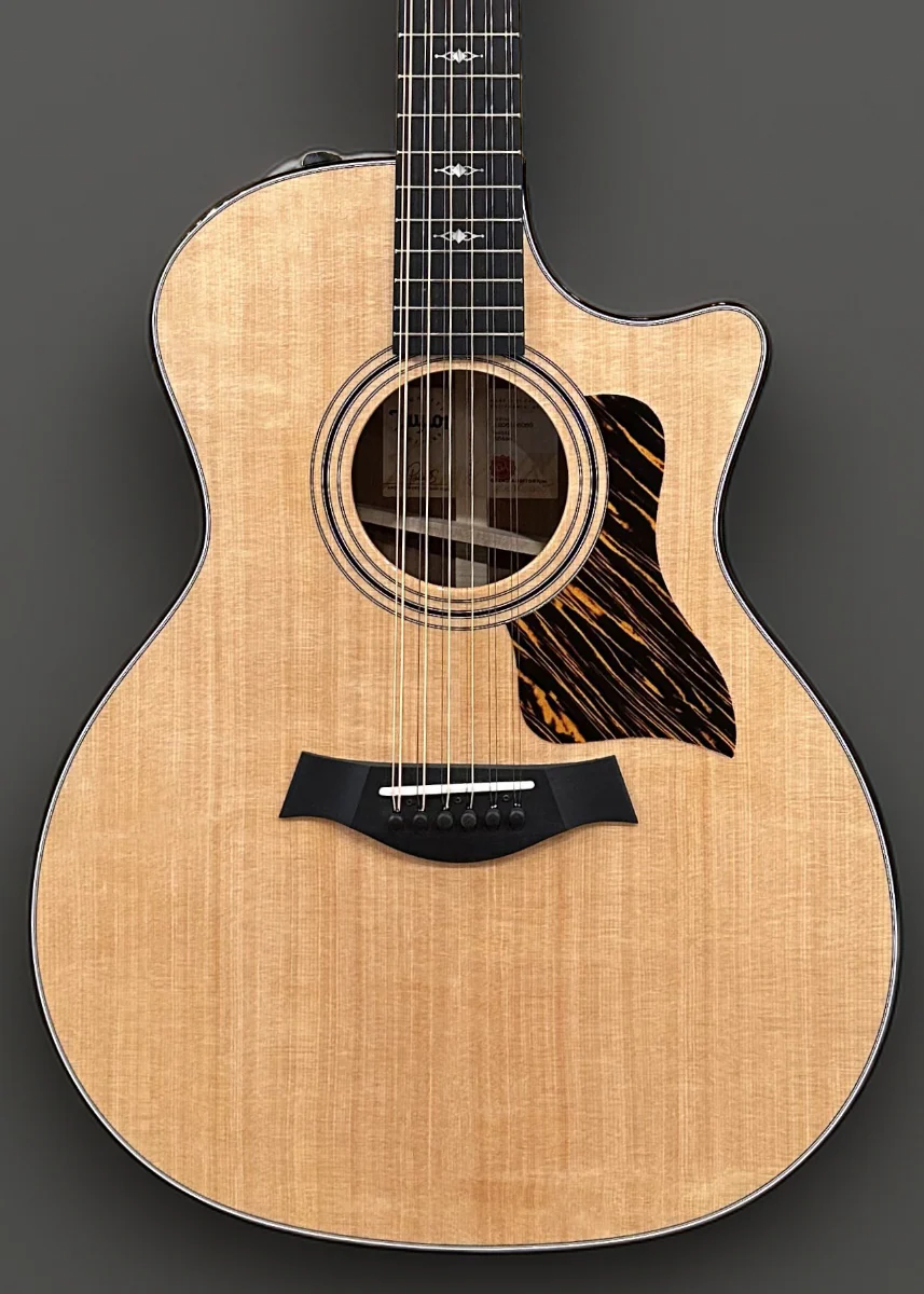 354CE 12 String - Image 2