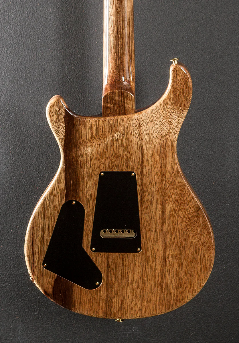 40th Anniversary Special Semi-Hollow Limited Edition - Yellow Tiger - Image 4