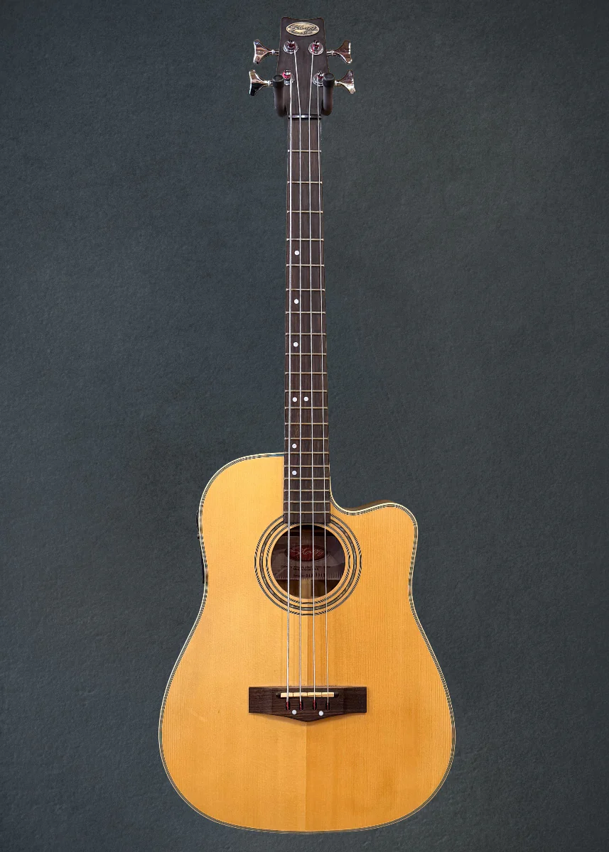 AB203CE-NS, Recent - Image 3