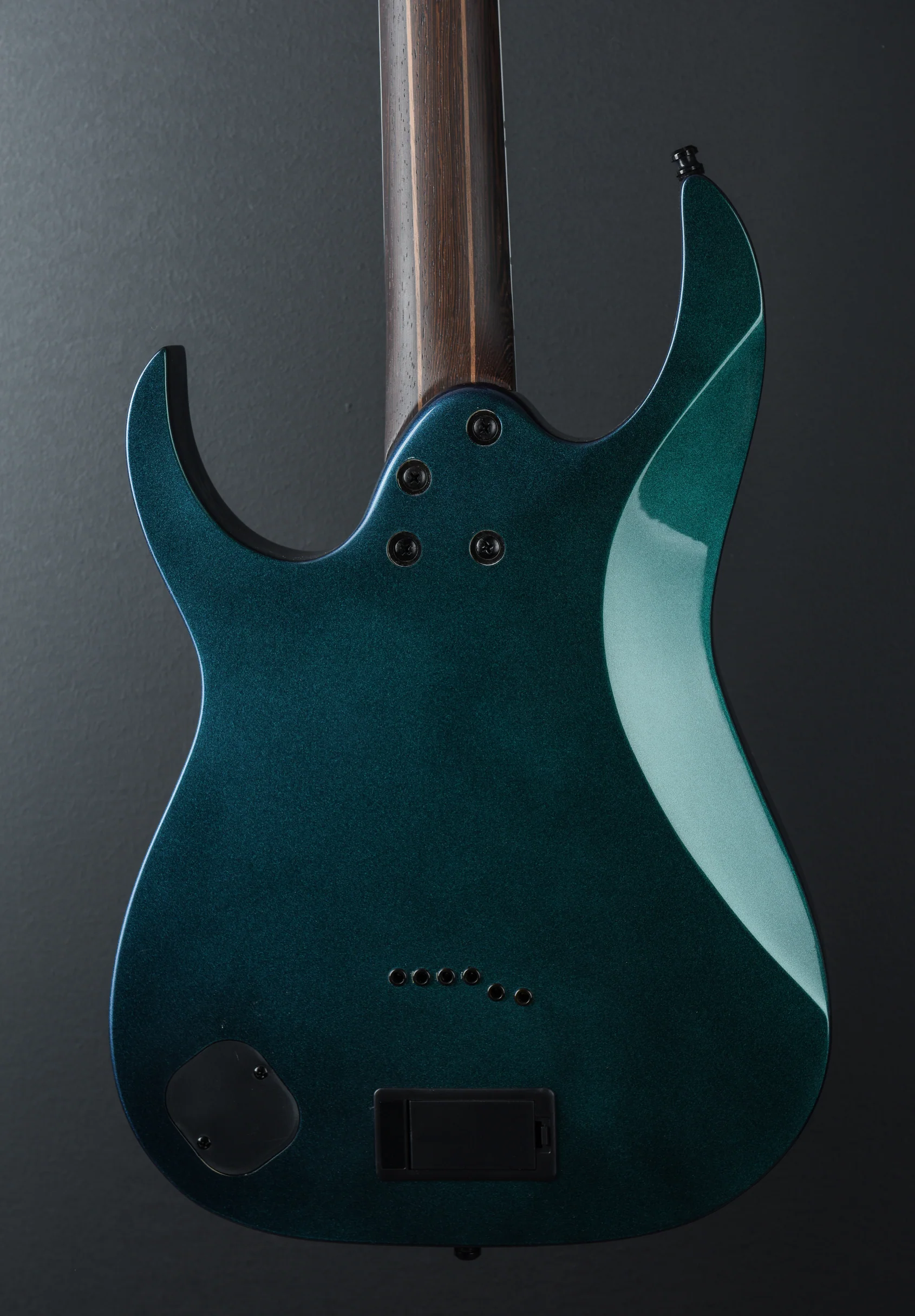 Axion Label RG631ALF - Blue Chameleon - Image 5
