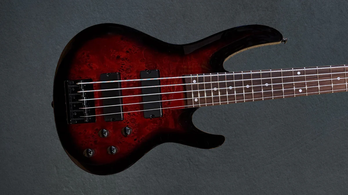 B-205DX 5-String Bass-Red Burst