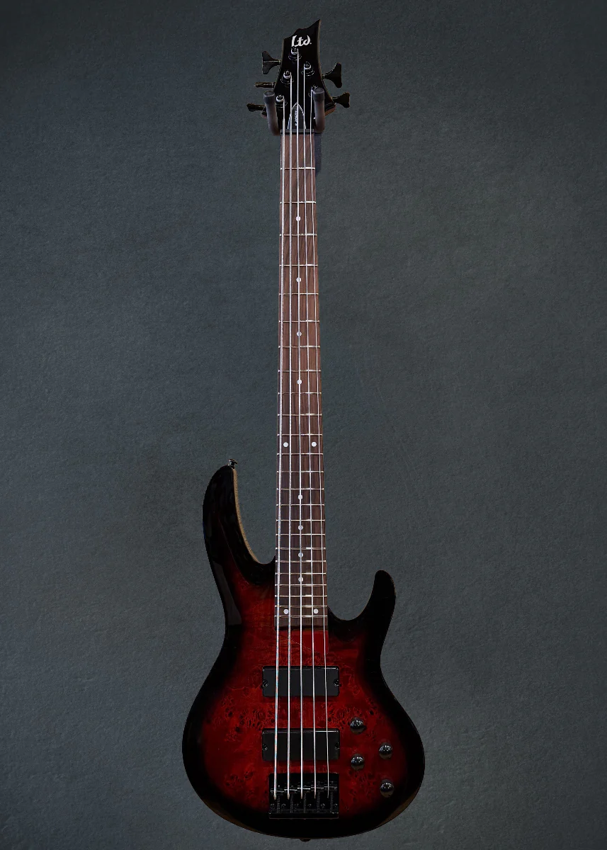 B-205DX 5-String Bass-Red Burst - Image 3