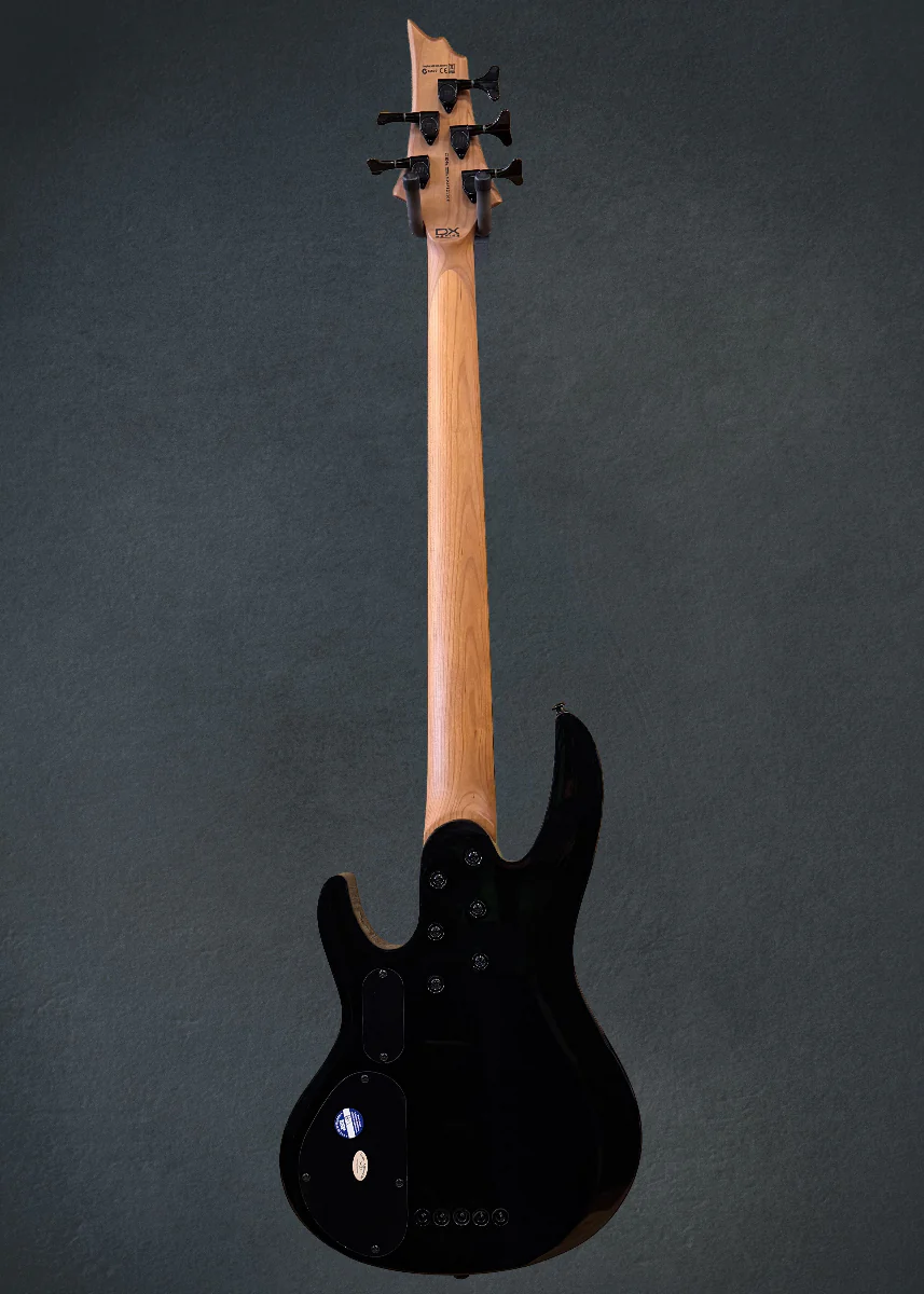 B-205DX 5-String Bass-Red Burst - Image 5