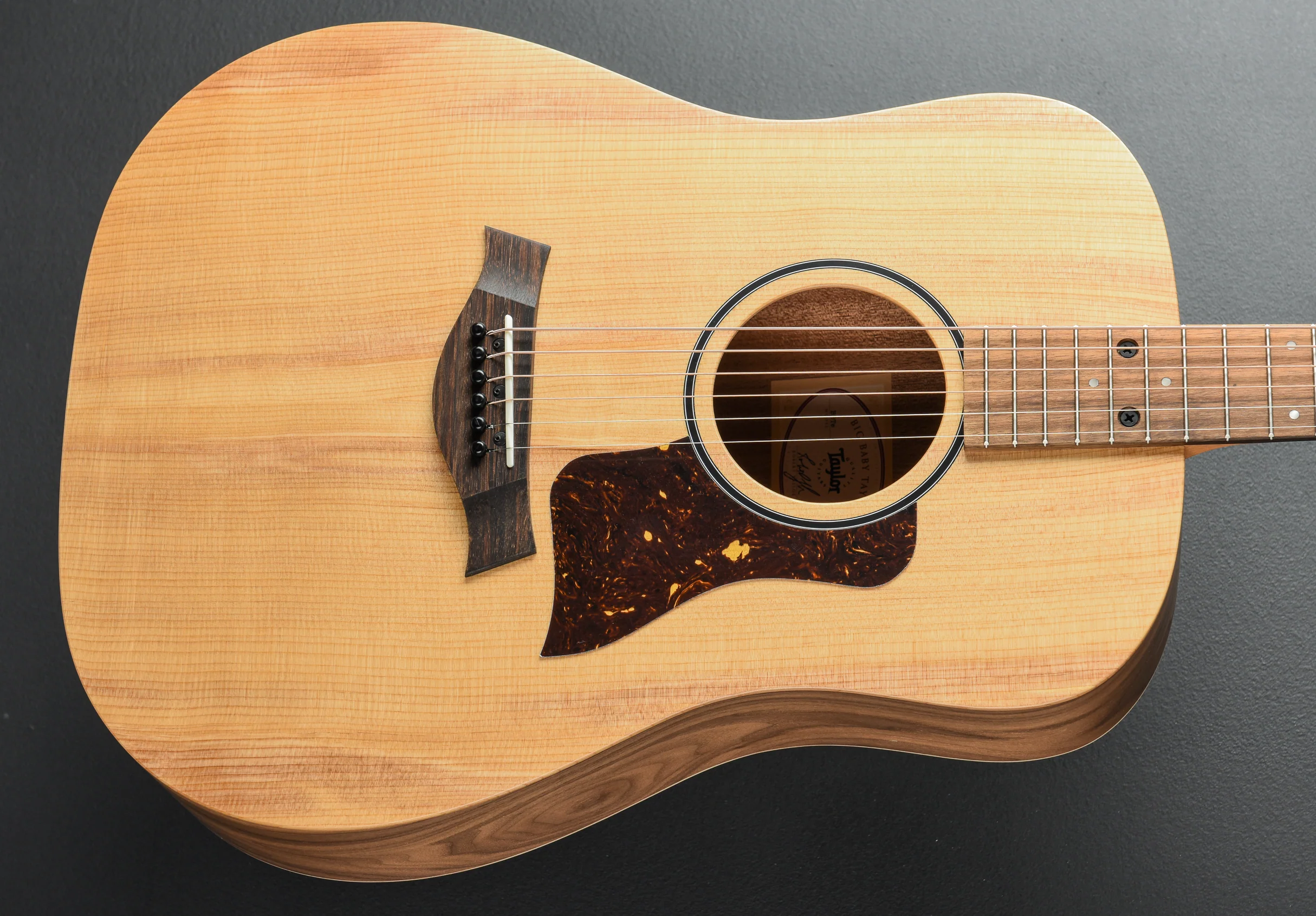 USED Big Baby Taylor (BBTe) '26