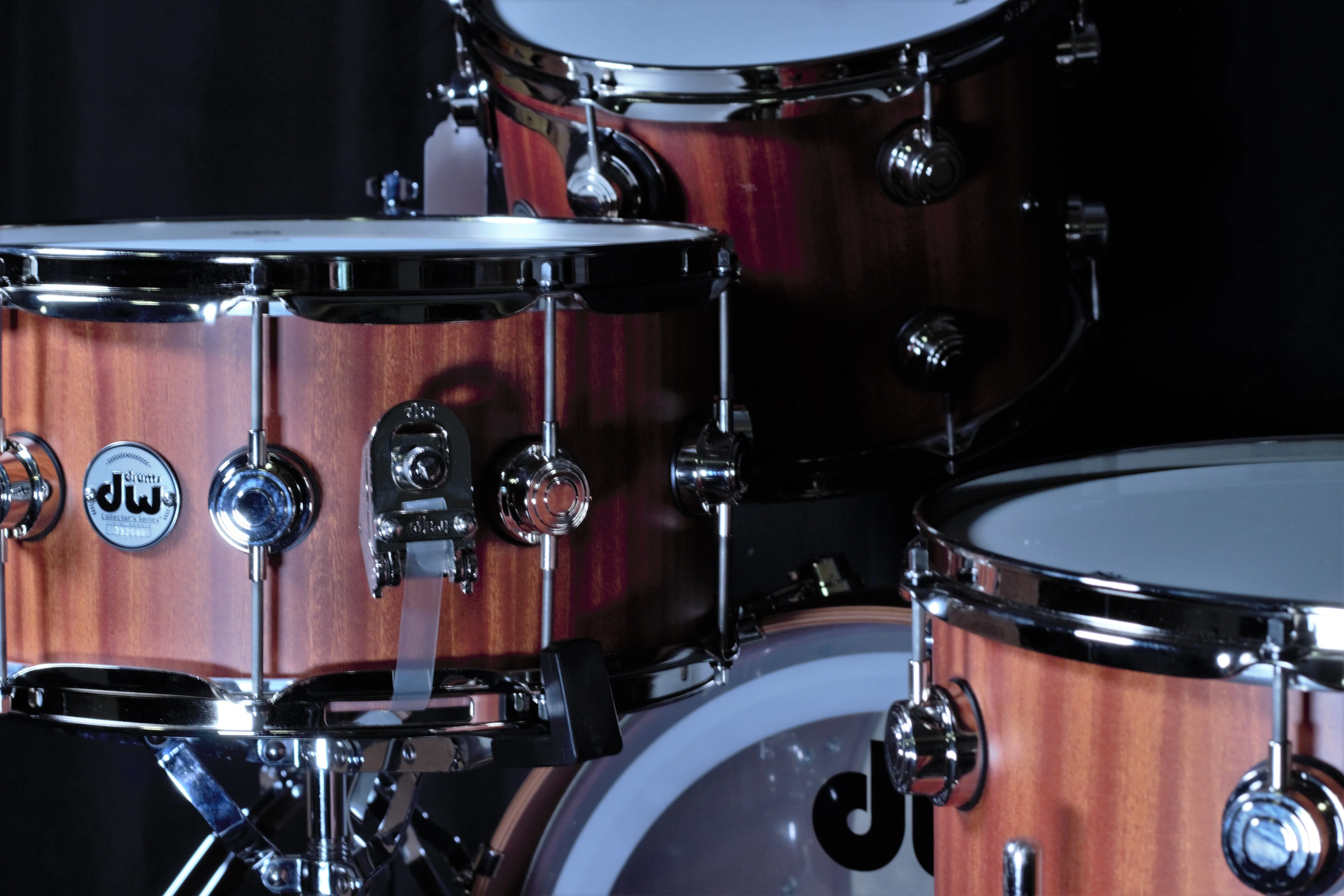 Collectors Series Purplecore 4 Piece Shell Pack - Image 5