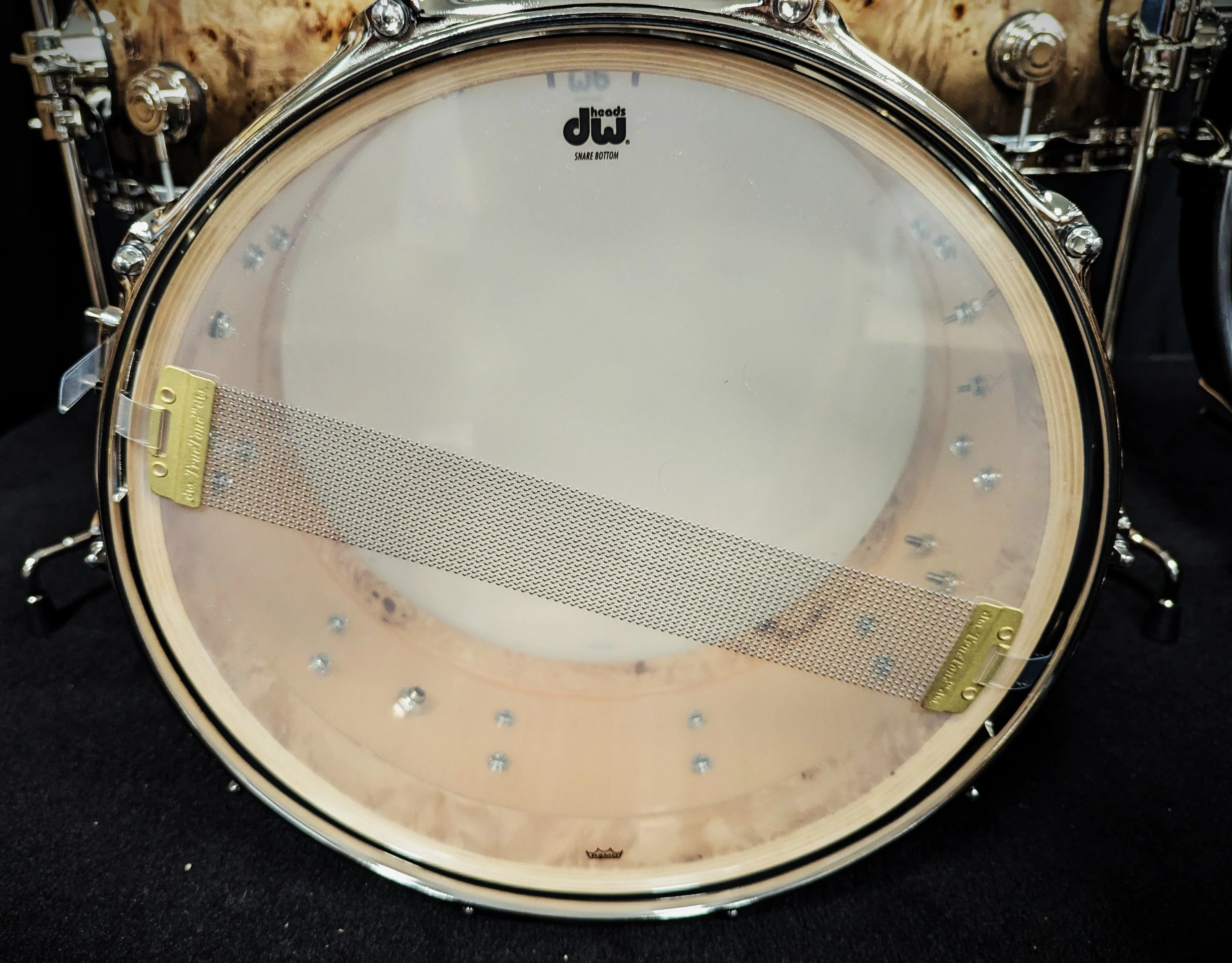 Collectors Series Candy Black Burst over Mappa Burl 5 Piece Shell Pack - Image 10