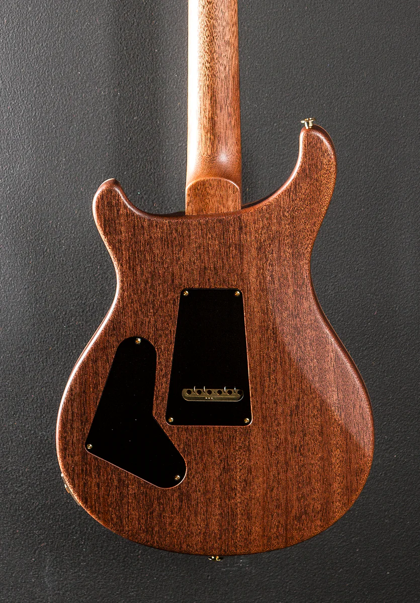 Custom 24 Semi-Hollow Wood Library Limited - Blue Fade w/Brazilian - Image 4