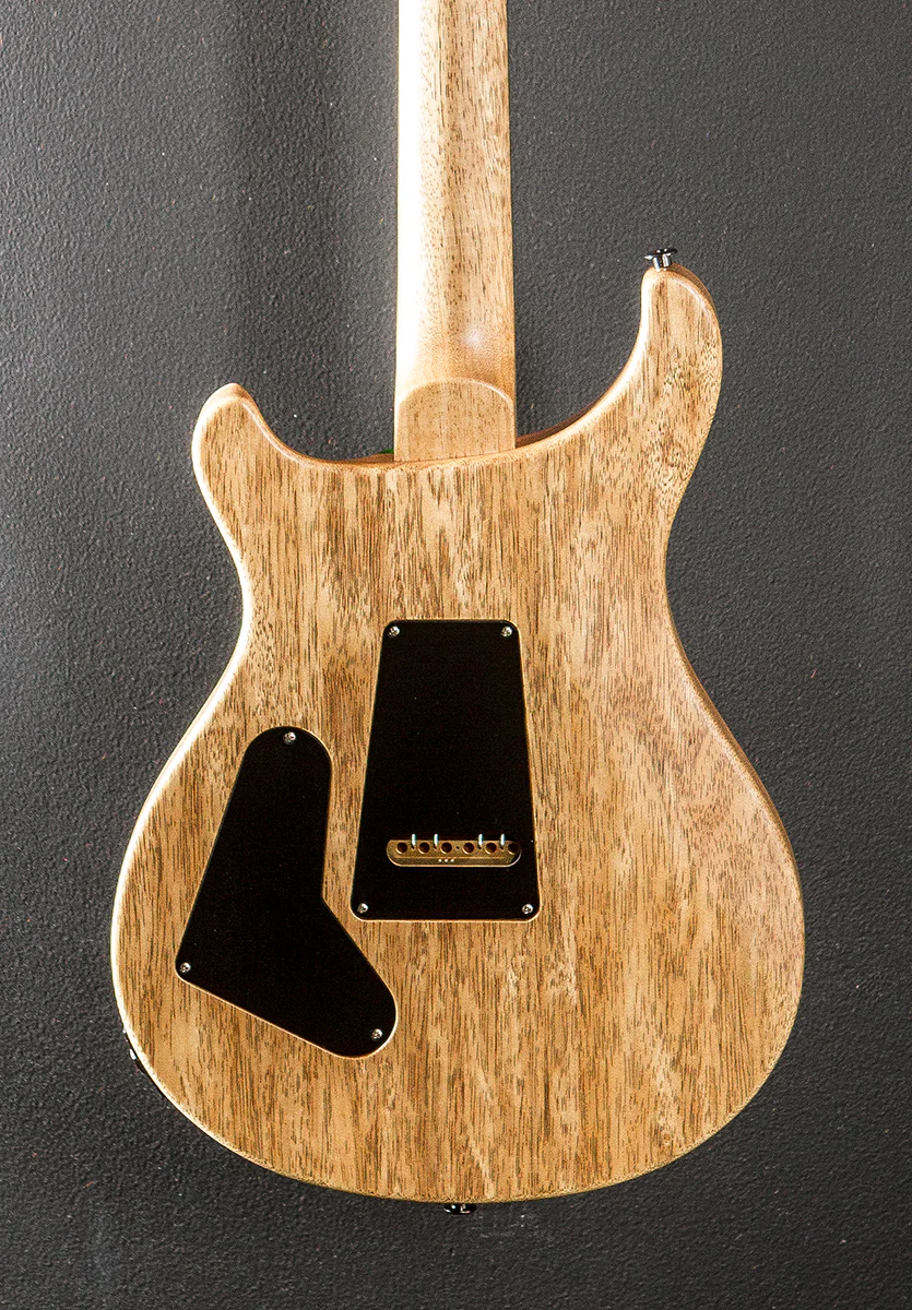Custom 24 Semi-Hollow Wood Library Limited - Eriza Verde w/Korina - Image 4