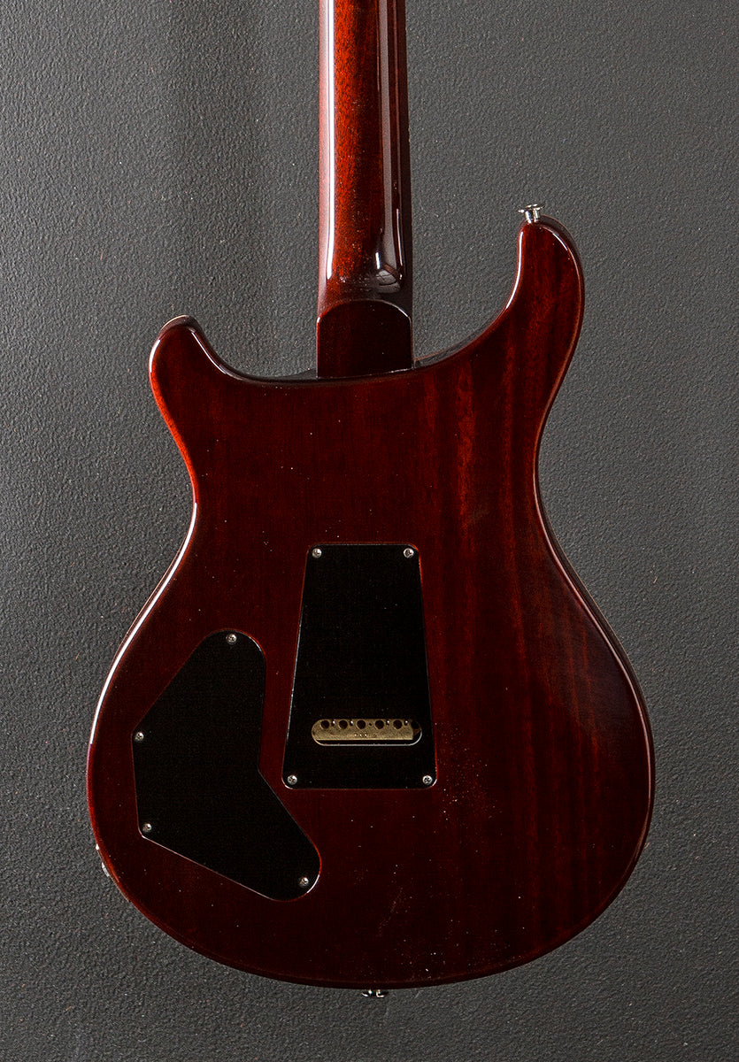 DGT (David Grissom Trem) - Dark Cherry Sunburst w/Birds - Image 4