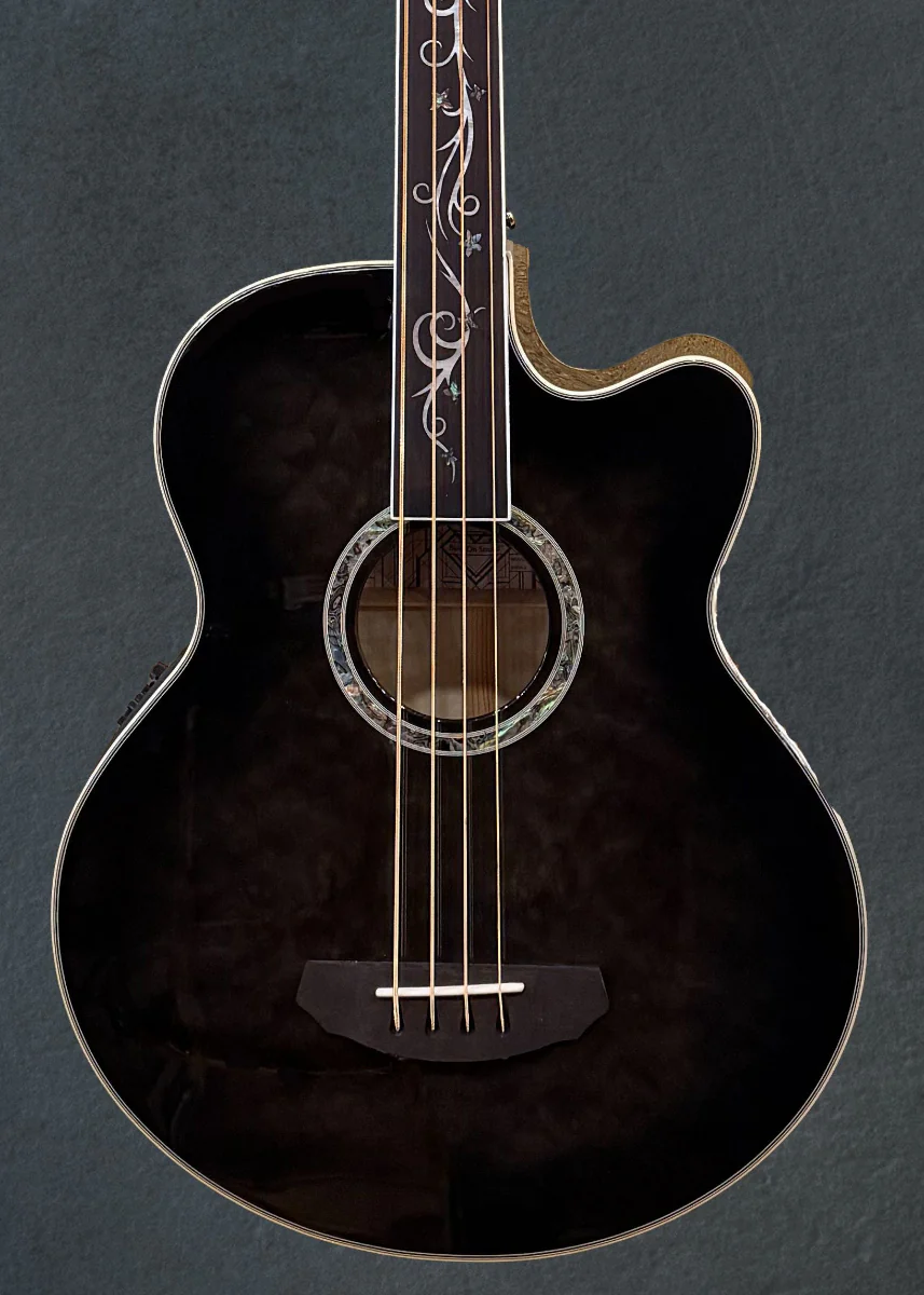 Dragonfly 4 Fretless Bass - Smoke Burst - Image 2