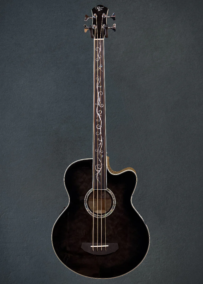 Dragonfly 4 Fretless Bass - Smoke Burst - Image 3
