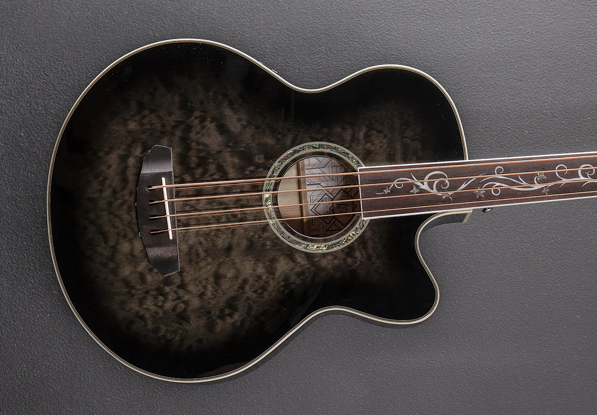 Dragonfly 4 Fretless Bass - Smoke Burst