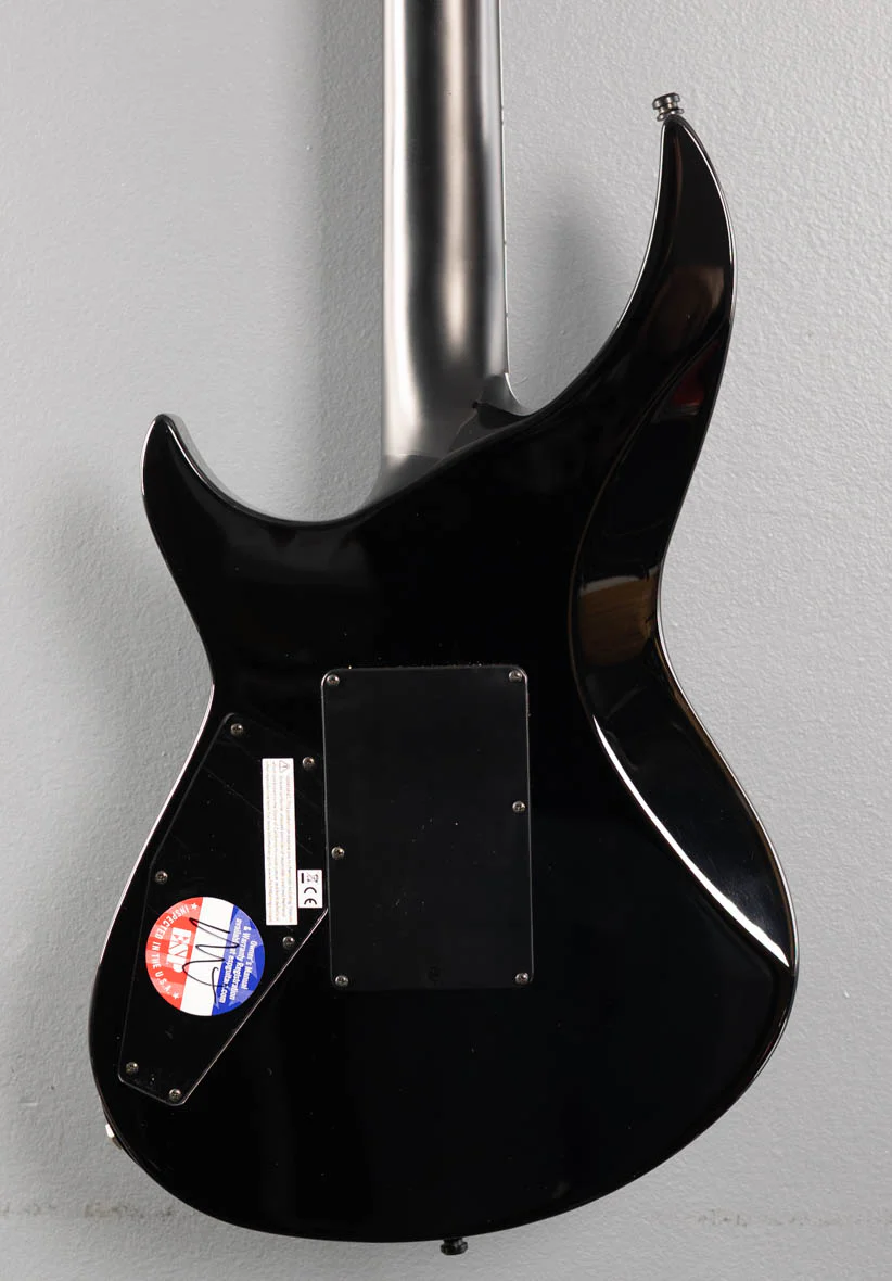 E-II Horizon-III FR - See Thru Black Sunburst - Image 4