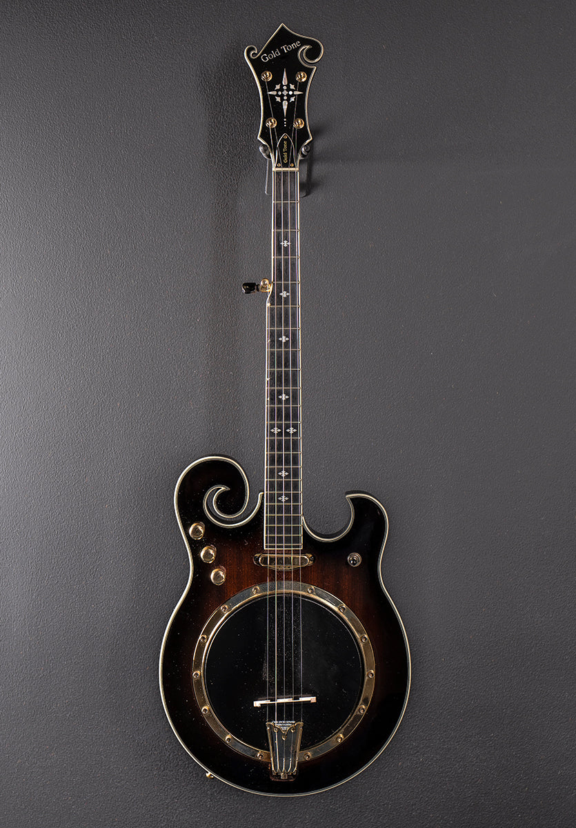 EBM-5 Electric Banjo, Recent - Image 3