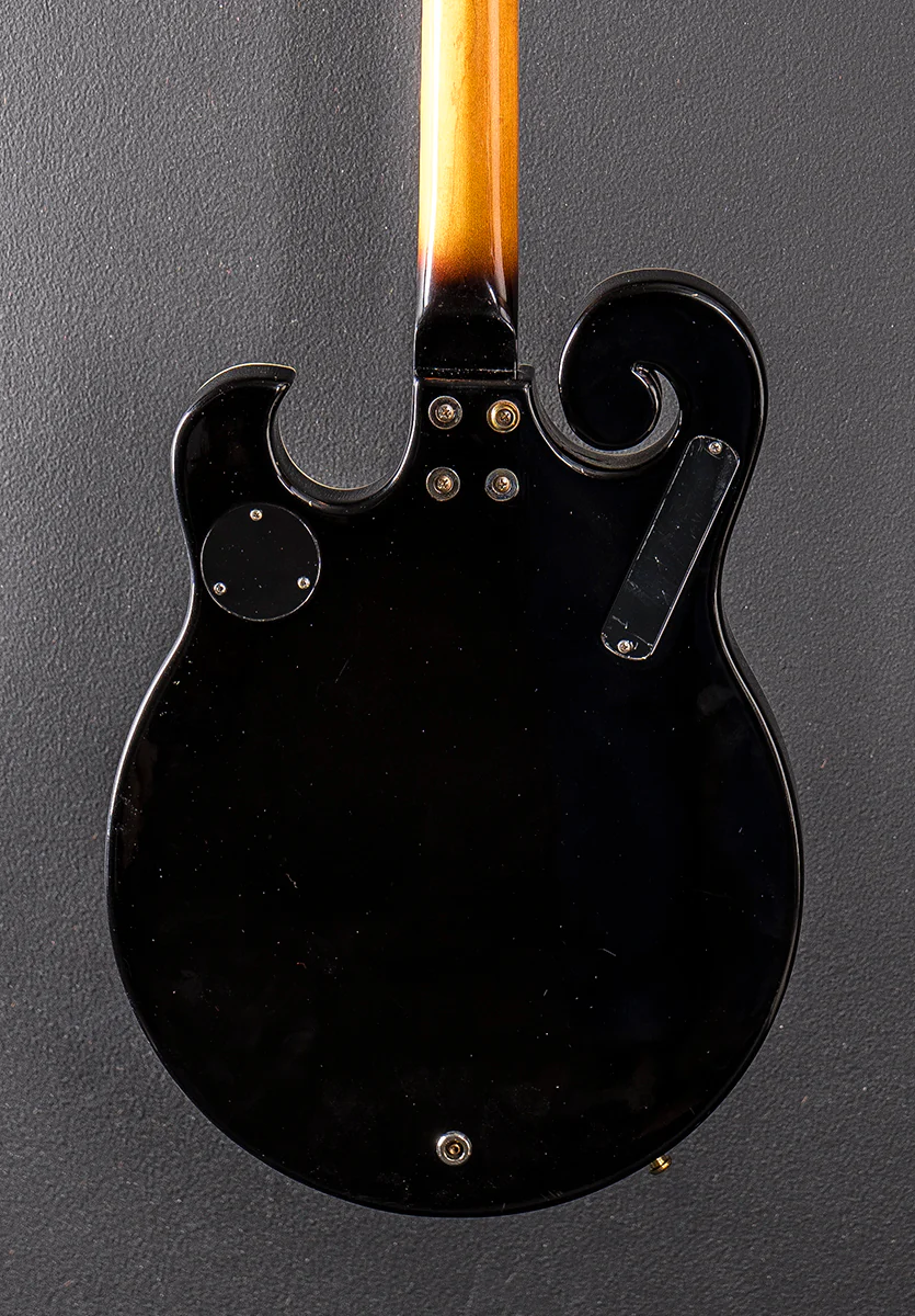 EBM-5 Electric Banjo, Recent - Image 4