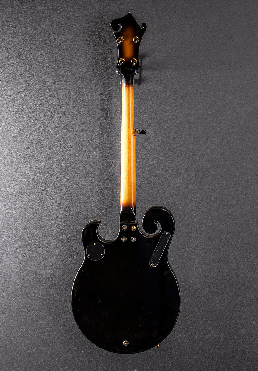 EBM-5 Electric Banjo, Recent - Image 5