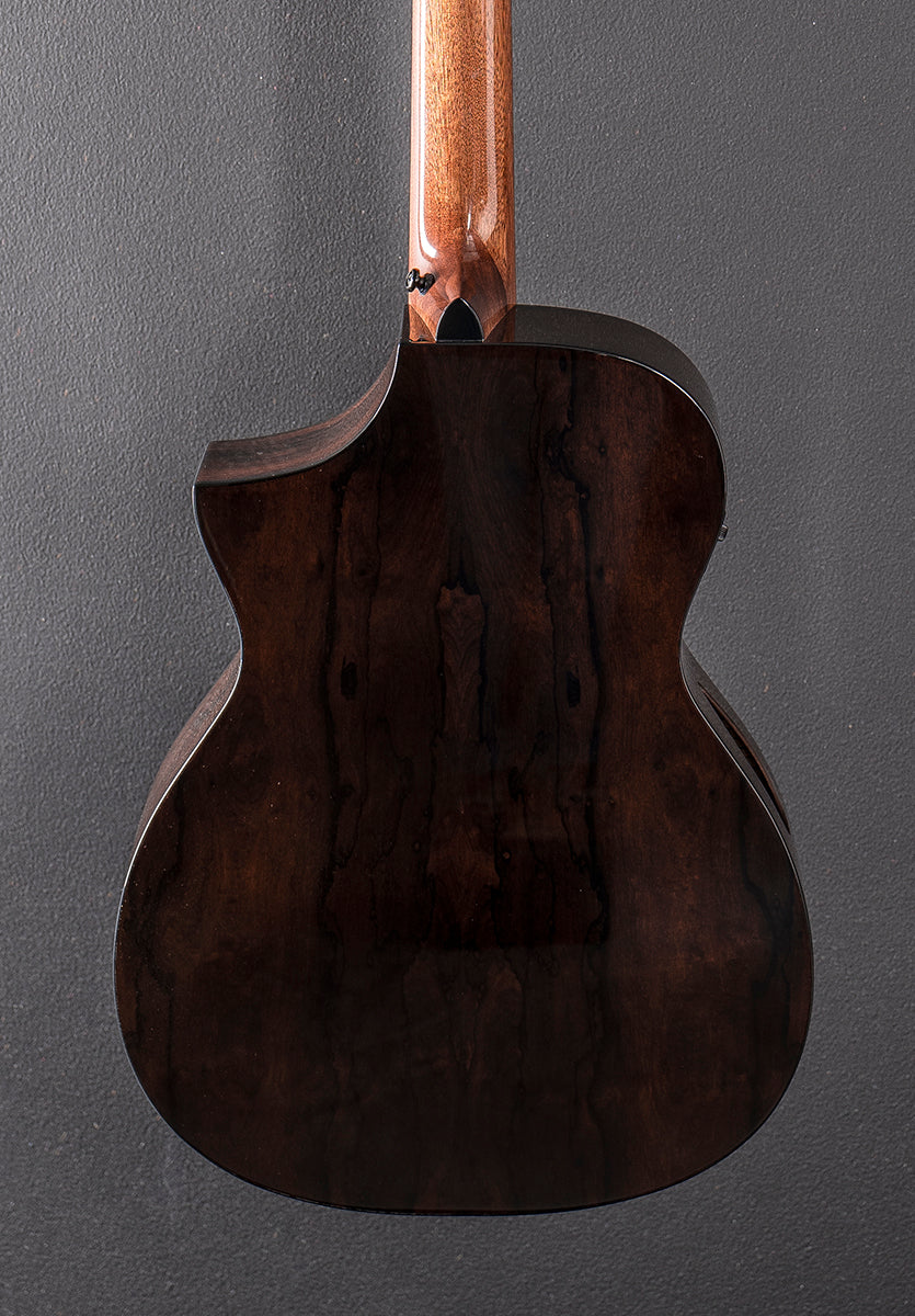 Forte Port Randy Jackson of Zebra Signature 12 String - Natural - Image 4
