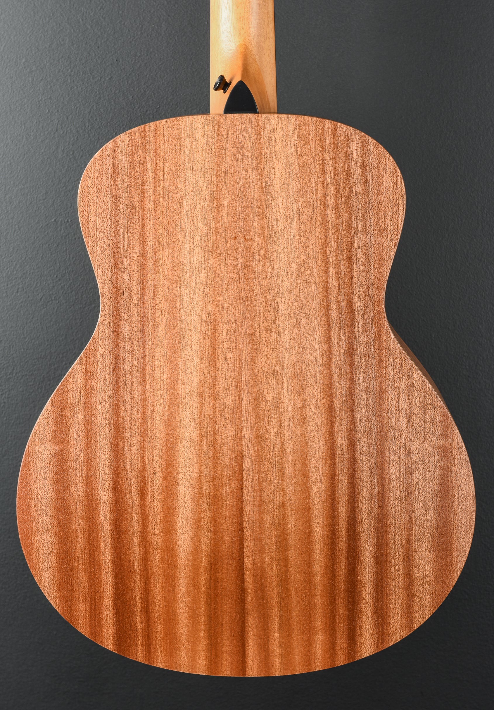 GS Mini - Image 4