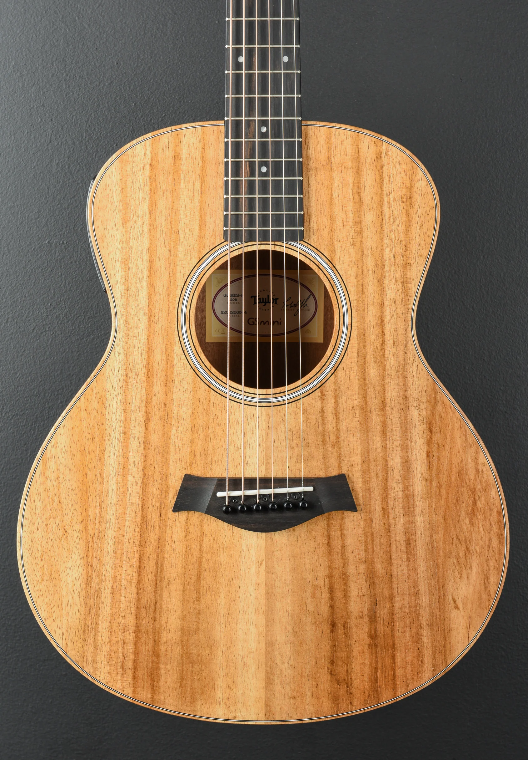 GS Mini-e Koa - Image 2
