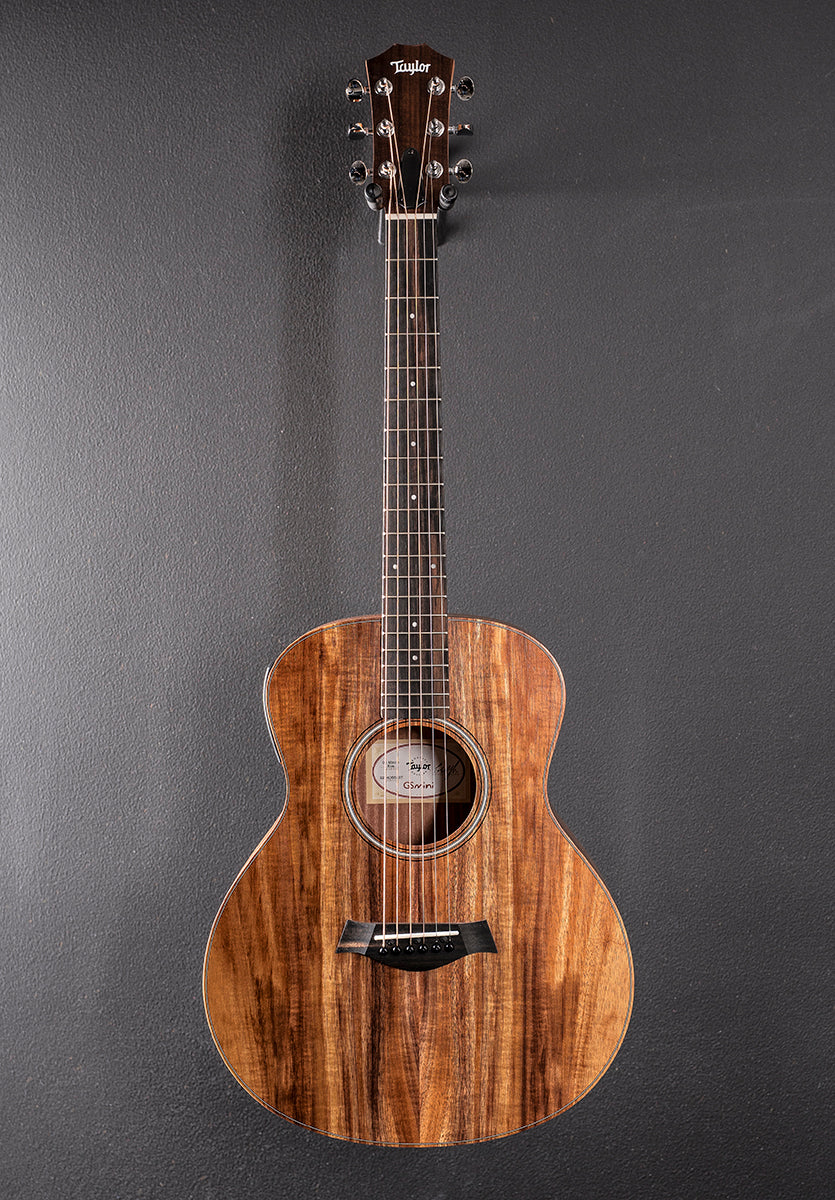 USED GS Mini-E Koa '26 - Image 3