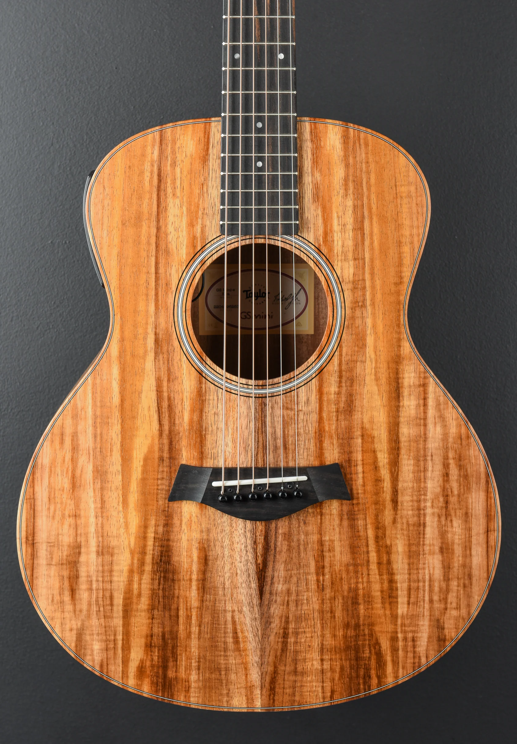USED GS Mini-E Koa '26 - Image 2