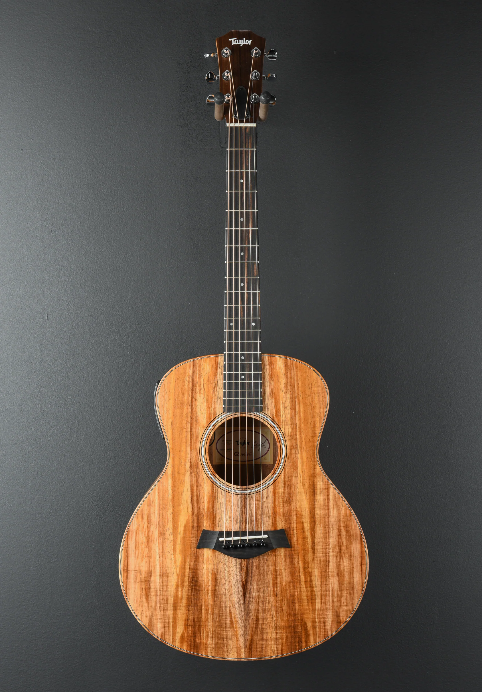 USED GS Mini-E Koa '26 - Image 3