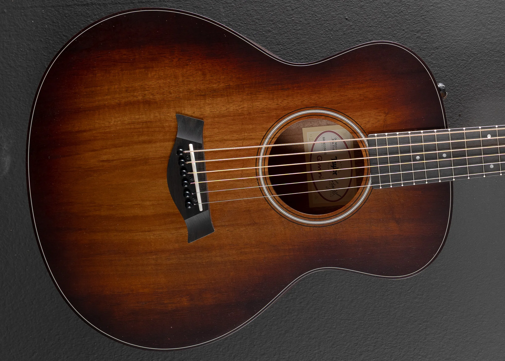 USED GS Mini-e Koa Plus '26