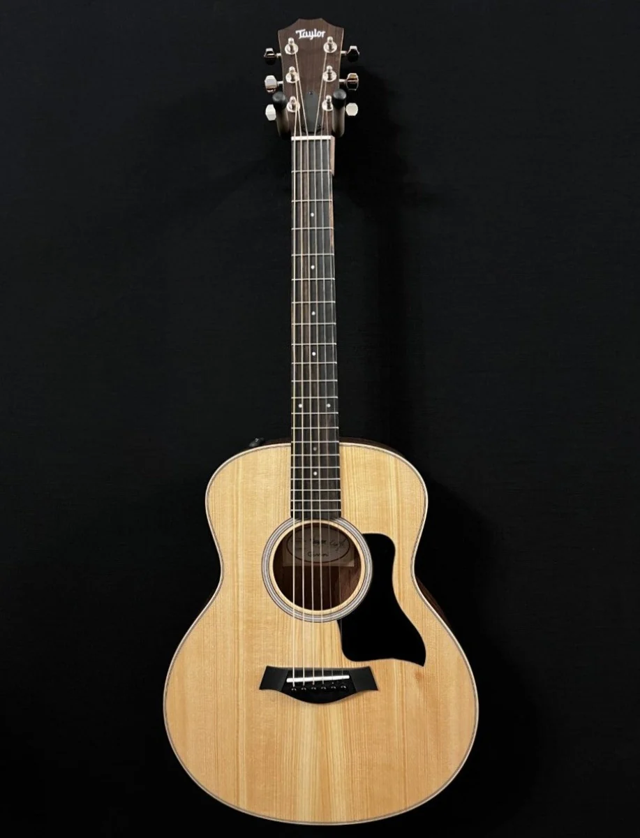 GS Mini-e Rosewood Plus - Image 3