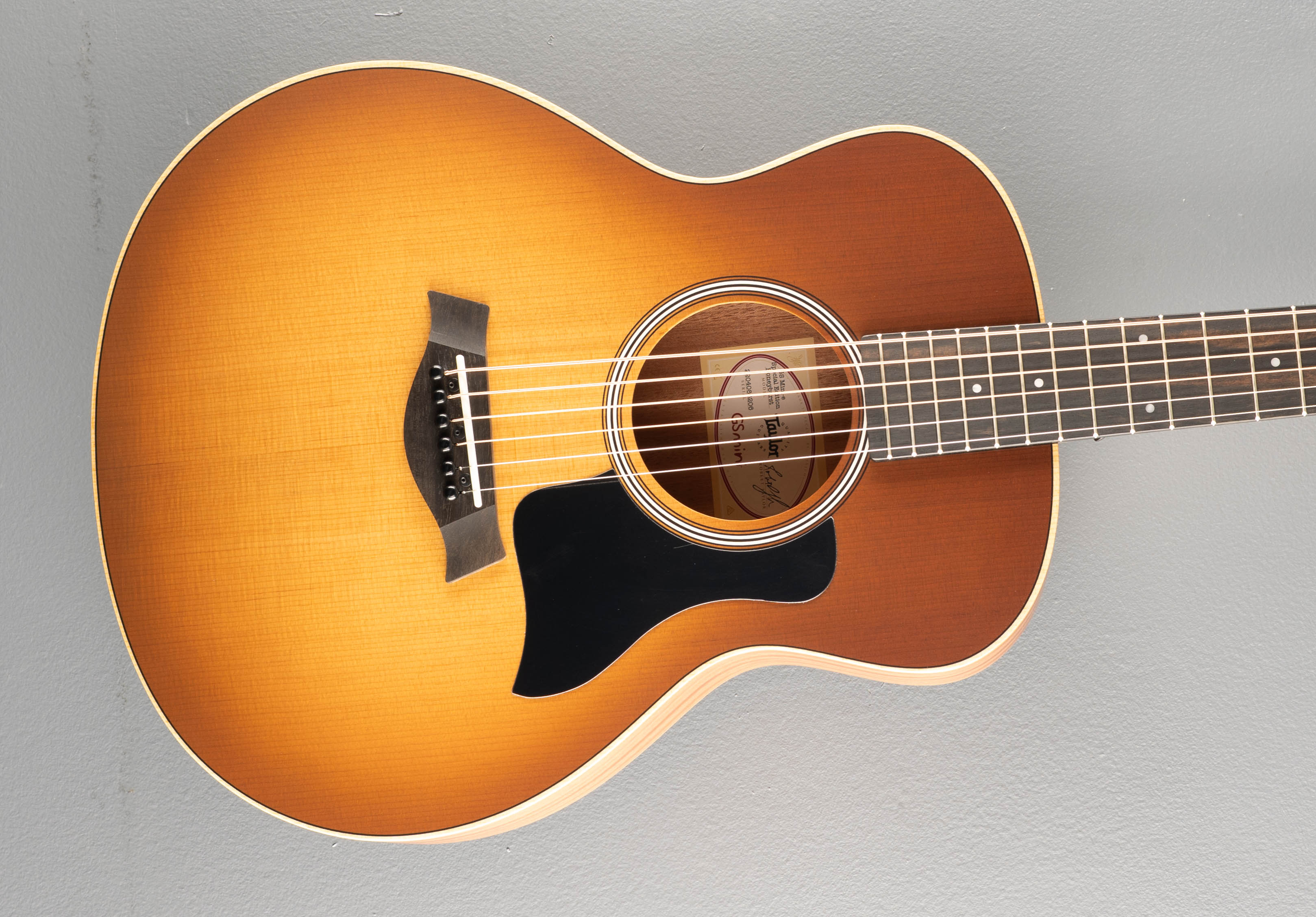 USED GS Mini-E Special Edition '26