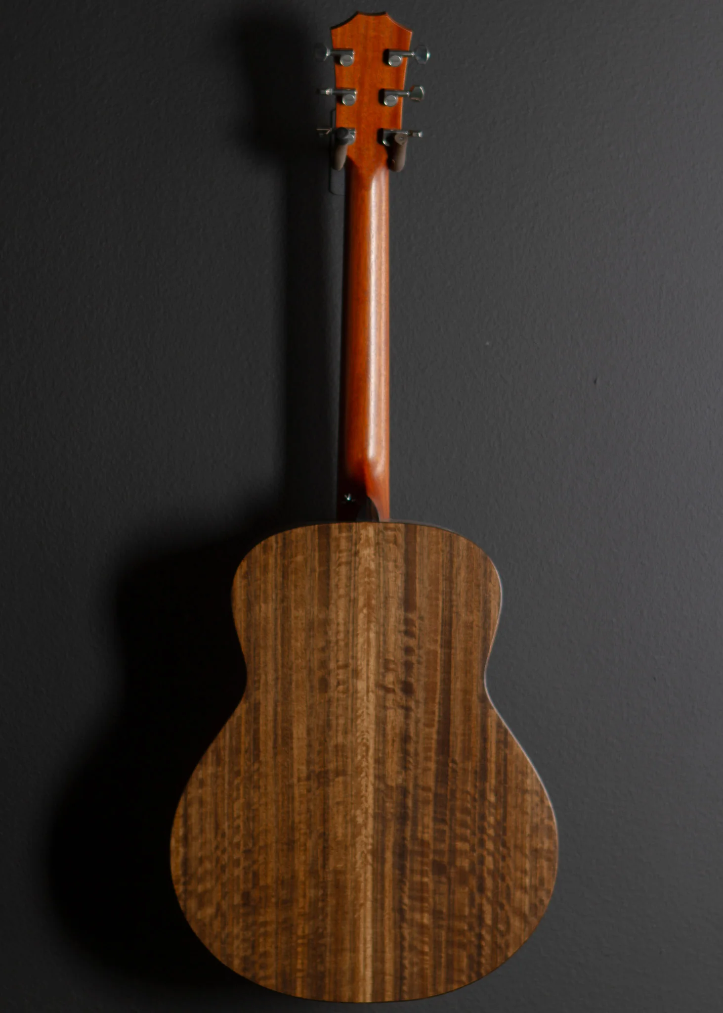 USED GT Urban Ash, '25 - Image 4