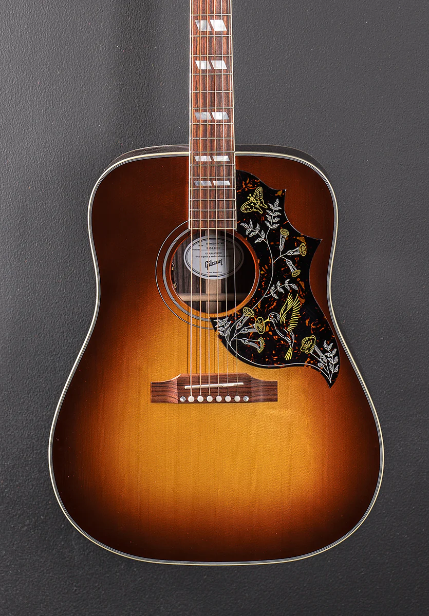 Hummingbird Standard Rosewood - Rosewood Burst - Image 2