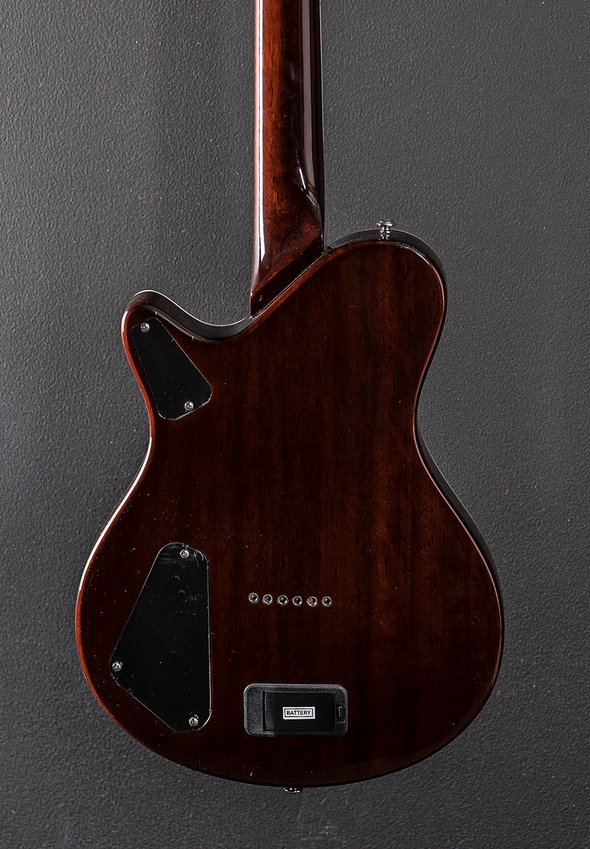 Hybrid Special - Ziricote - Image 4