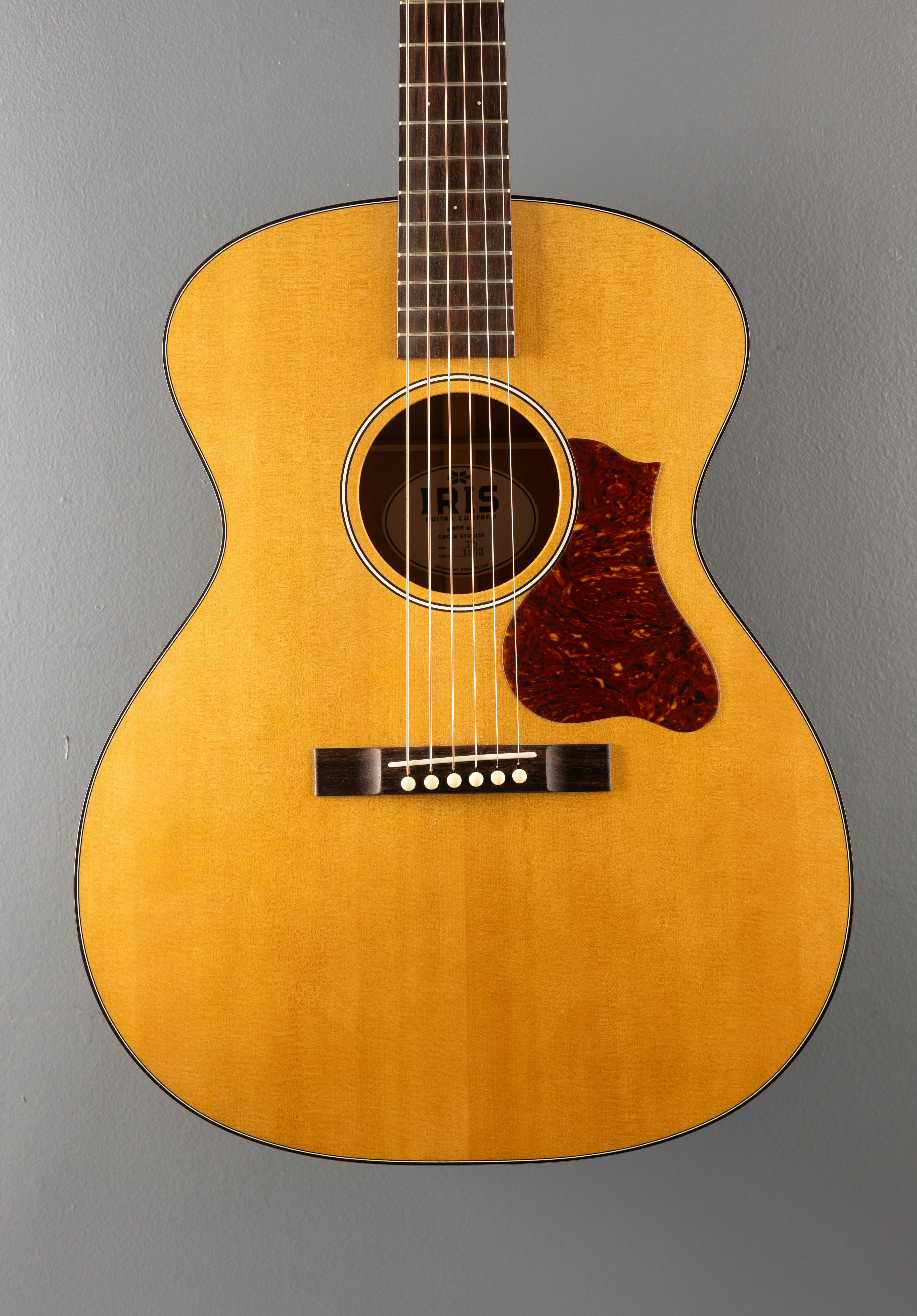 JB Model, Recent - Image 2