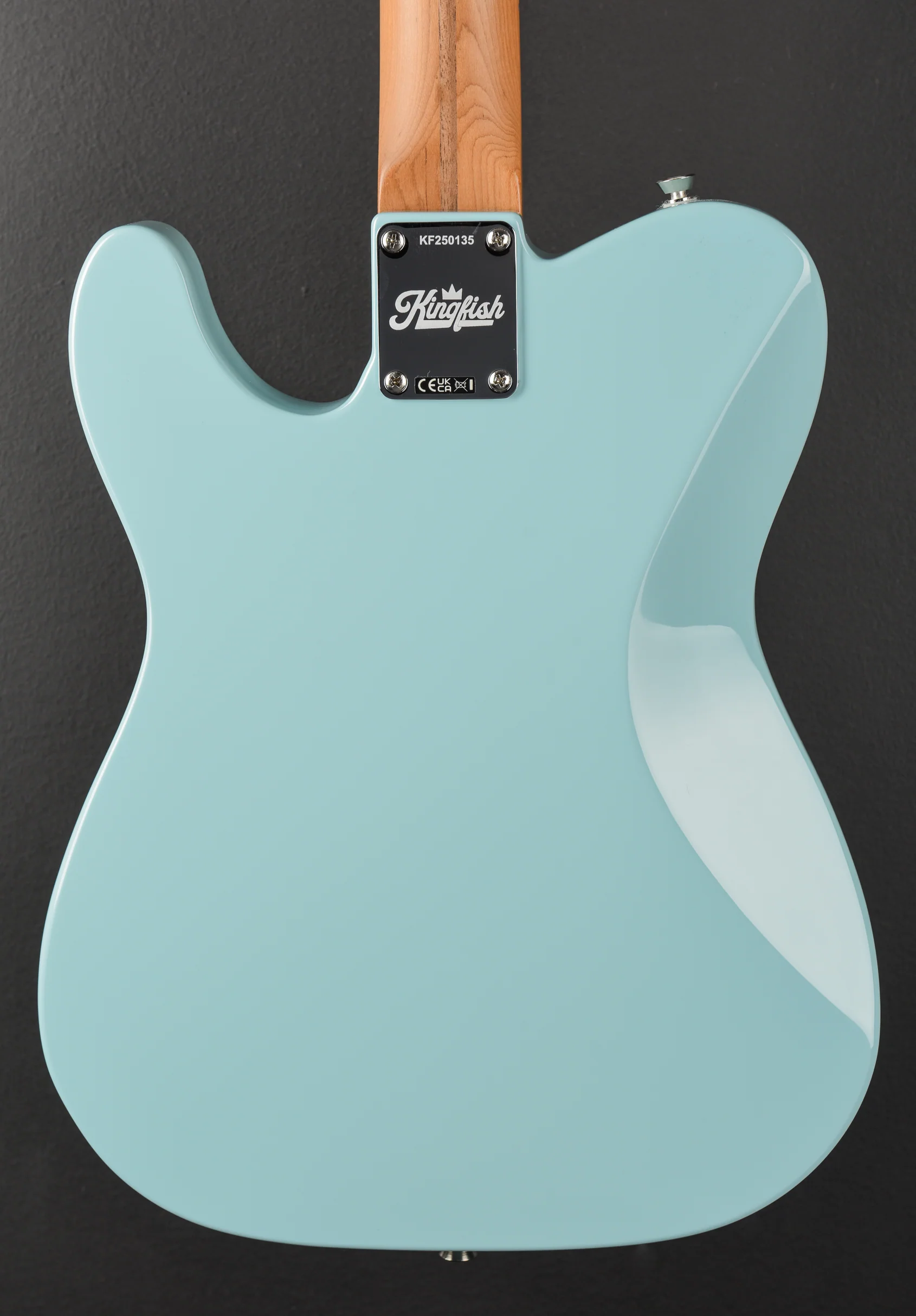 Kingfish Delta Day Telecaster Deluxe - Daphne Blue - Image 4