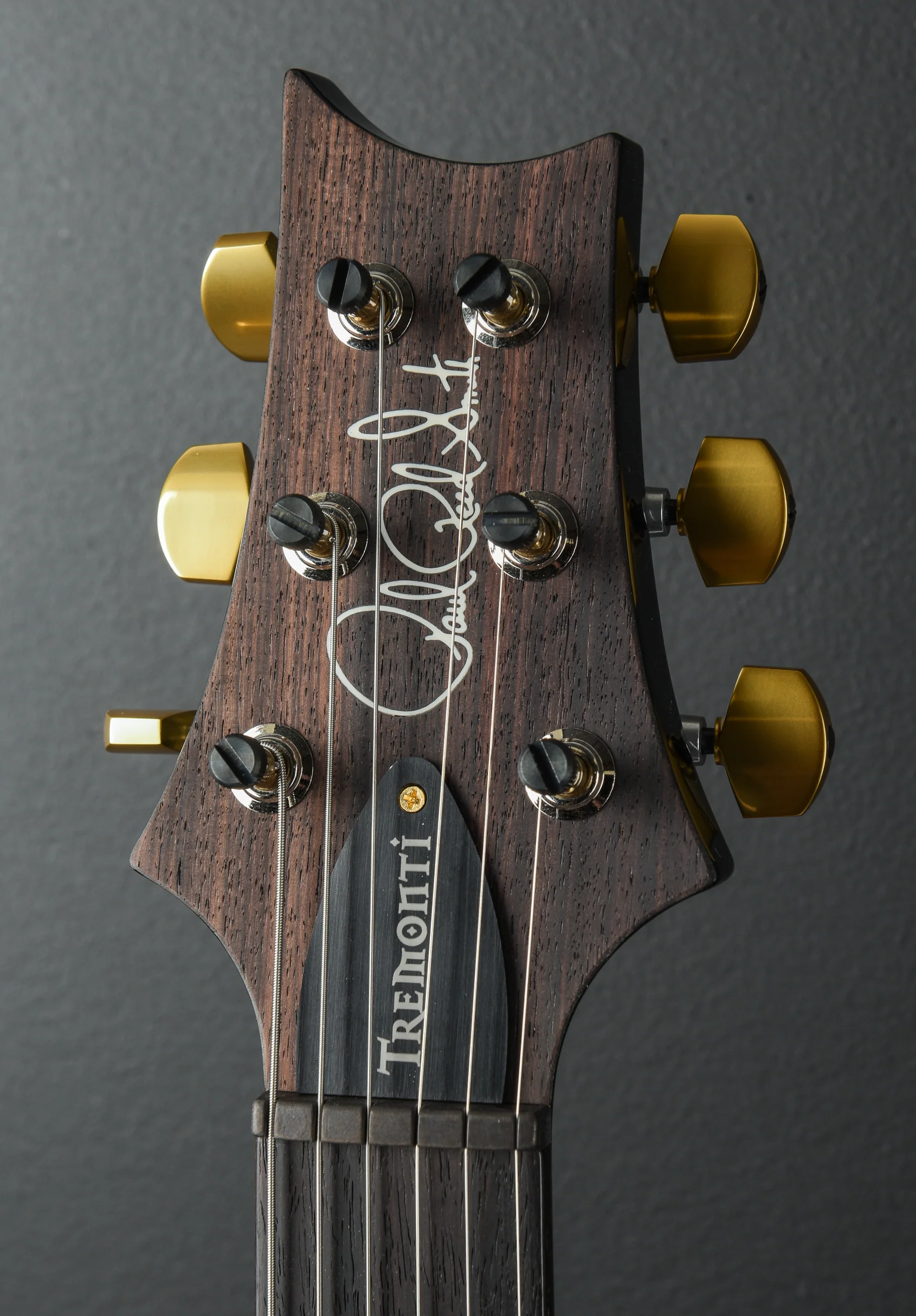 Mark Tremonti Signature 10 Top w/Tremolo - Gray Black - Image 6