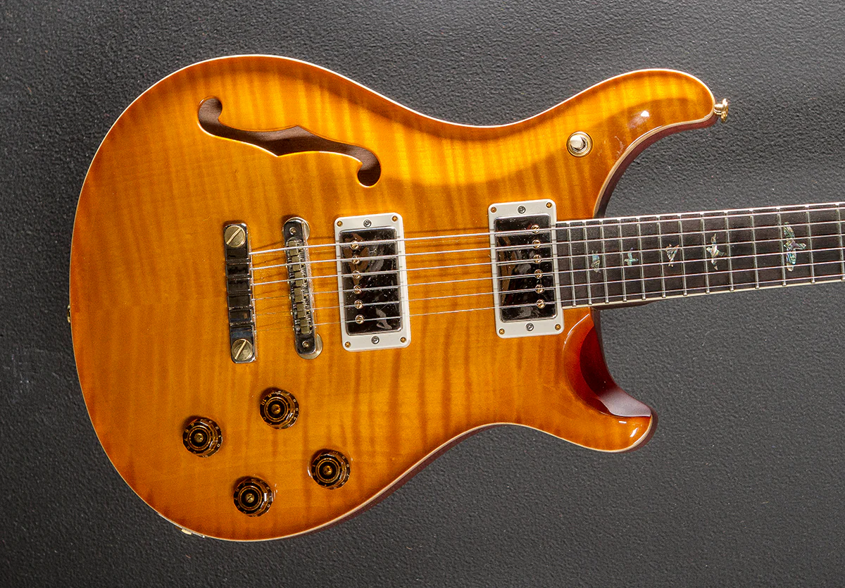 McCarty 594 Semi-Hollow Brazilian Wood Library Limited '18