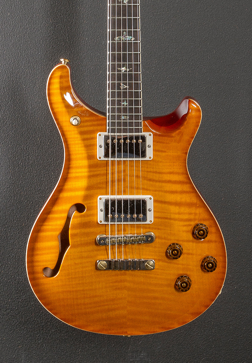 McCarty 594 Semi-Hollow Brazilian Wood Library Limited '18 - Image 2