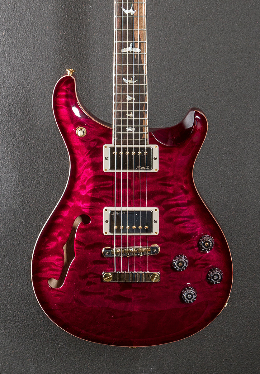 McCarty 594 Semi-Hollow Wood Library Limited - Angry Larry w/Ash - Image 2