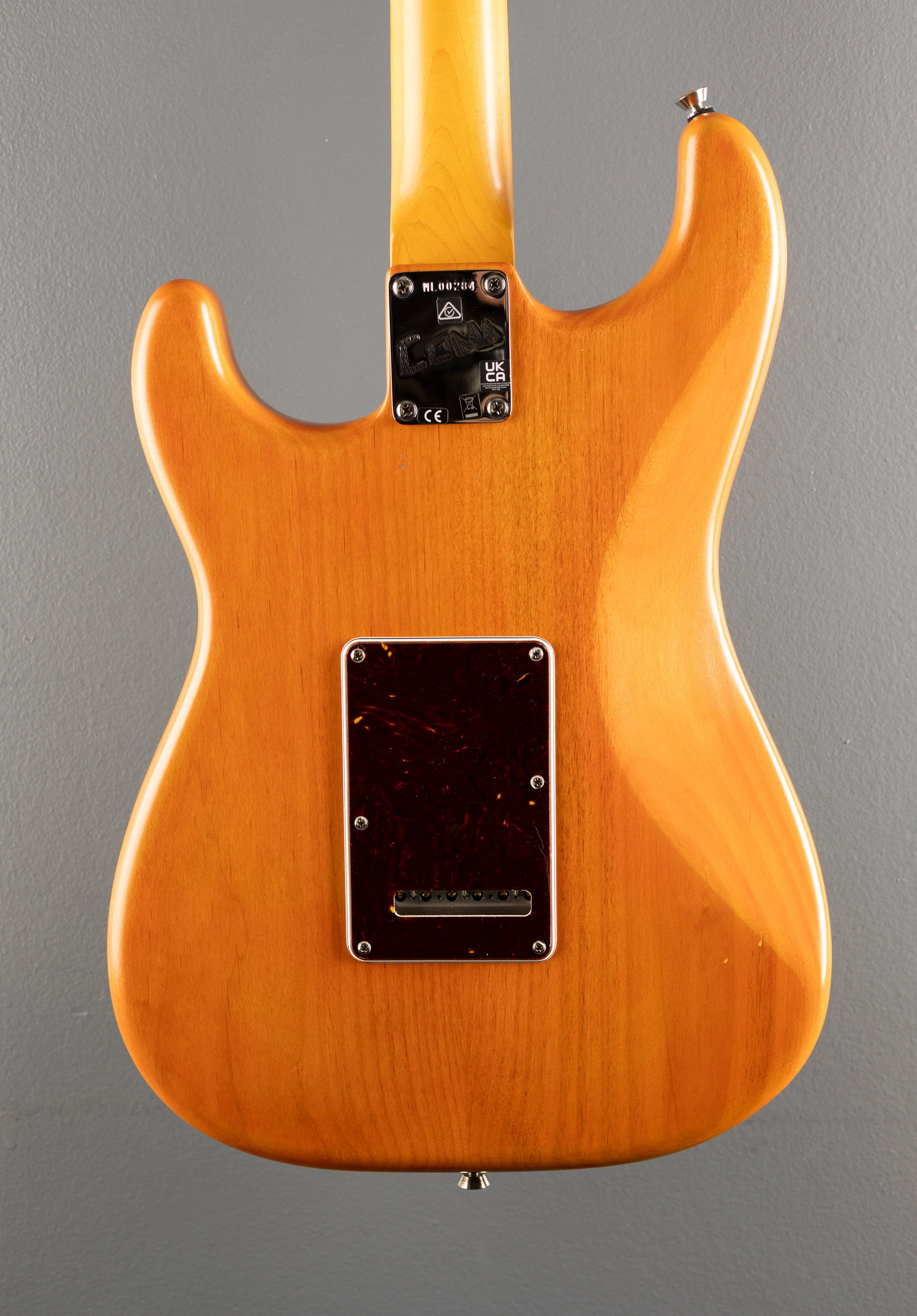 USED Michael Landau Coma Stratocaster, '23 - Image 4