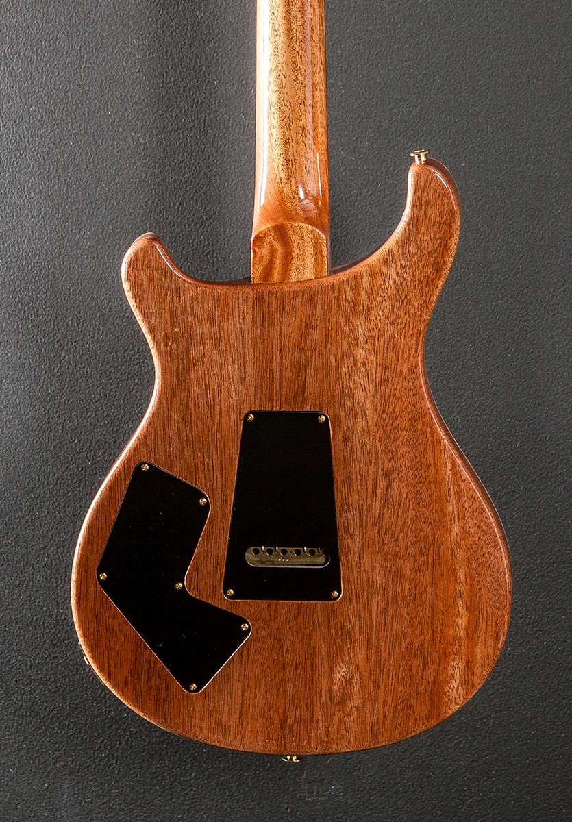 Modern Eagle V 10 Top - Yellow Tiger - Image 4