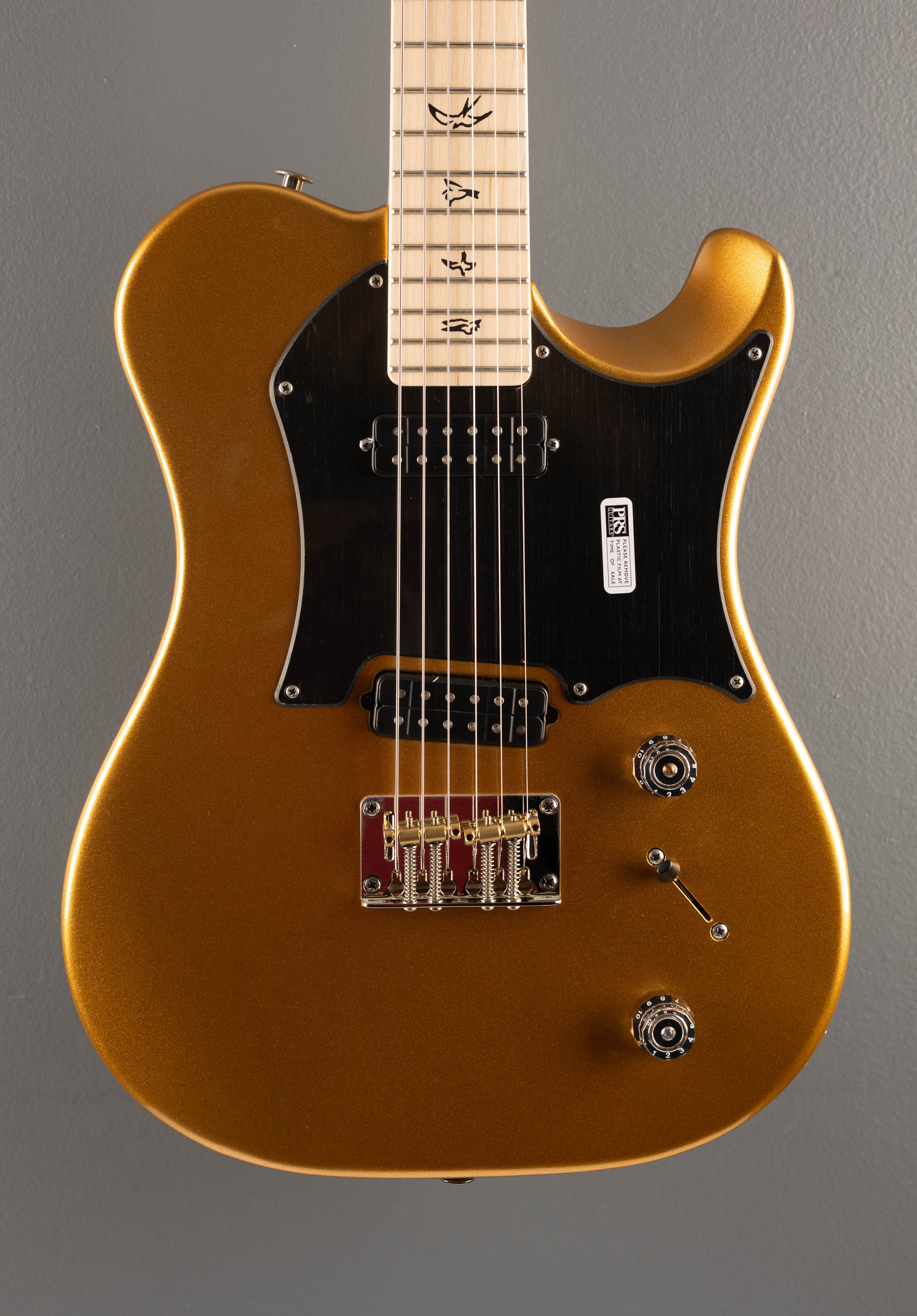 Myles Kennedy - Egyptian Gold Metallic - Image 2
