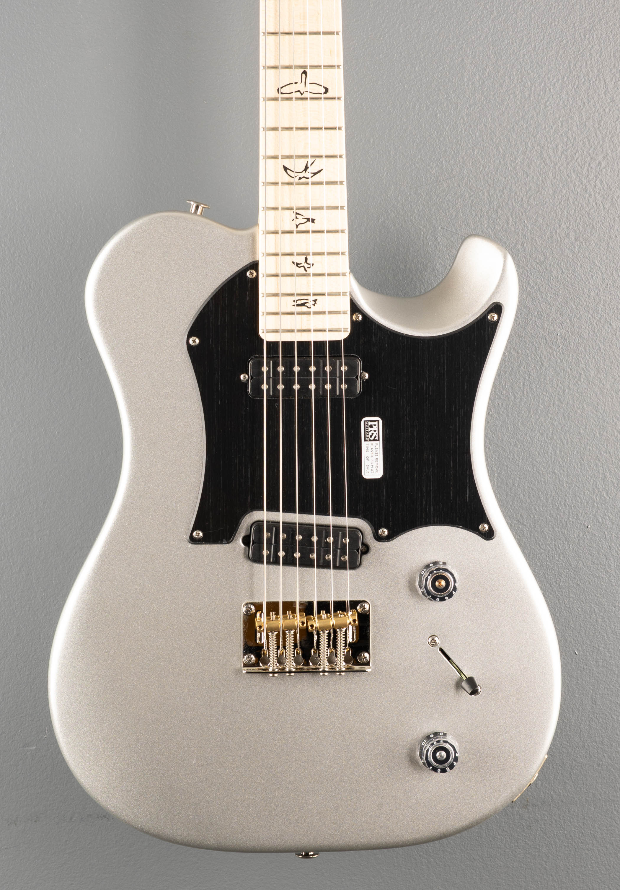 Myles Kennedy - Platinum Metallic - Image 2