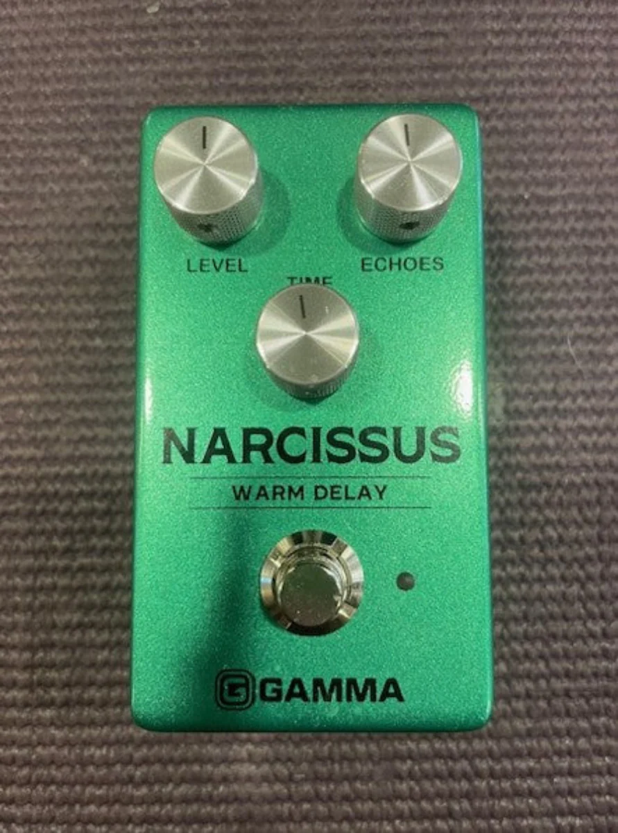 Narcissus Warm Delay, Recent