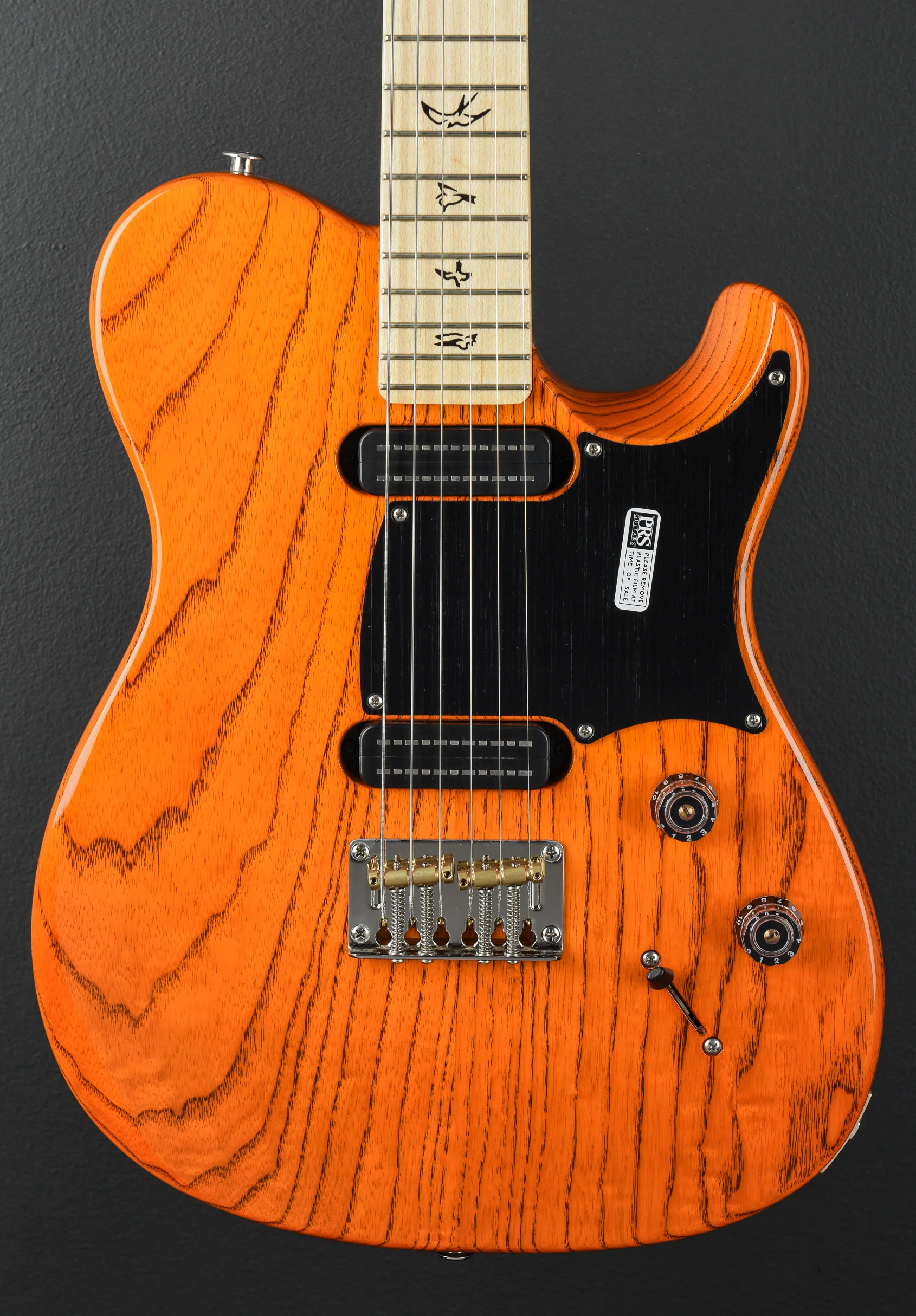 NF53 - Orange Tabby - Image 2