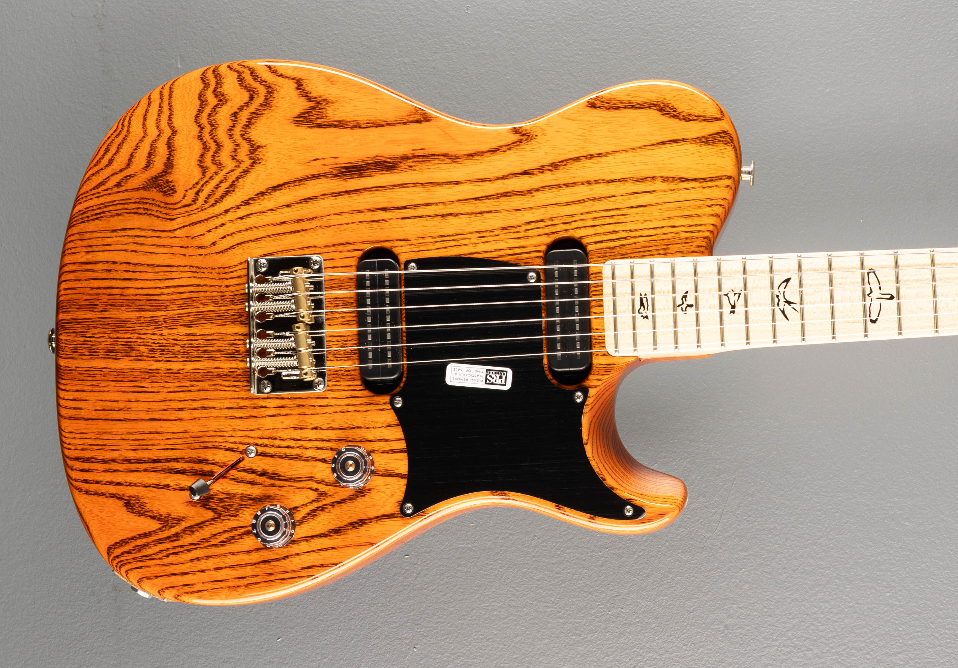 NF53 - Orange Tabby