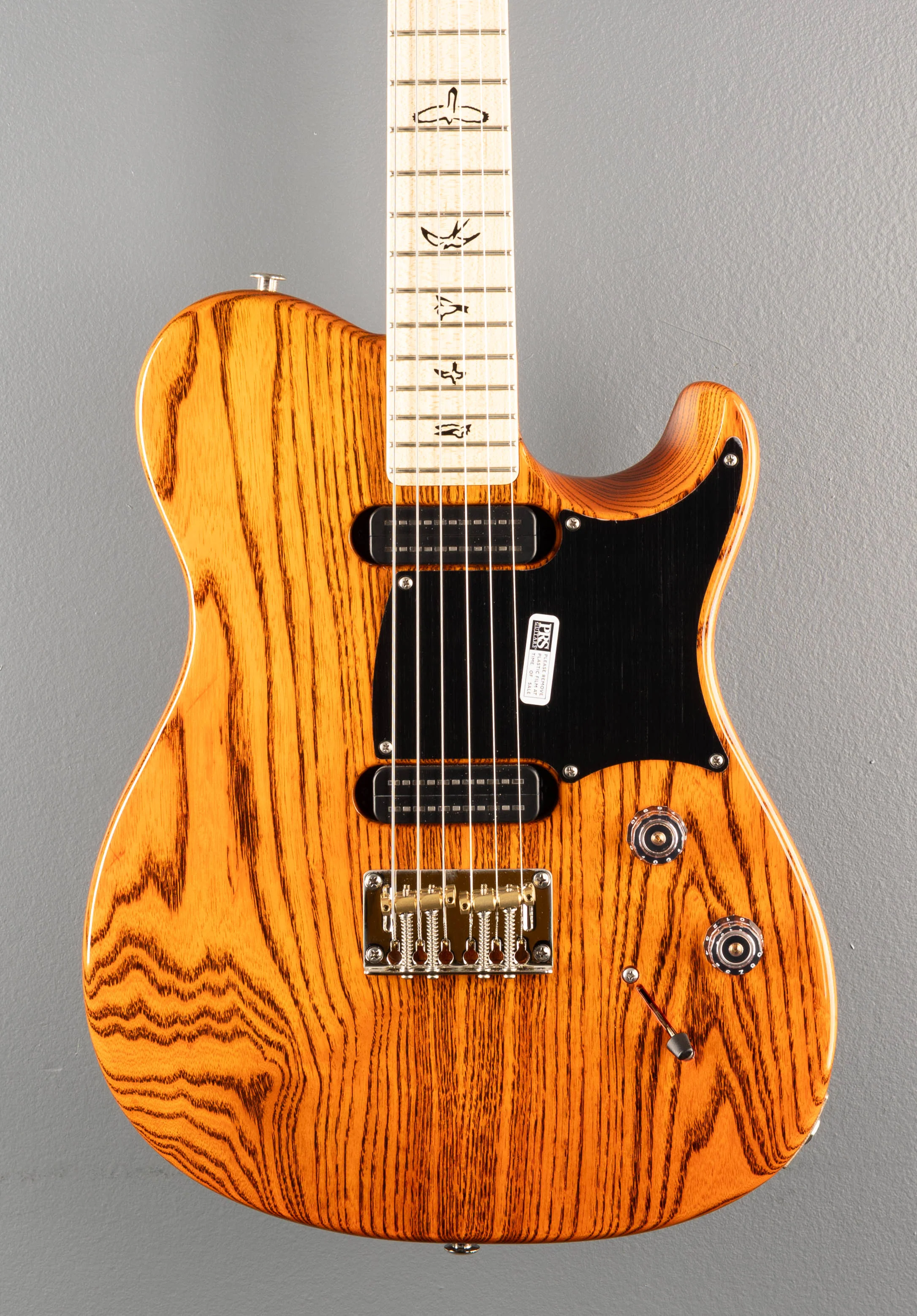 NF53 - Orange Tabby - Image 2